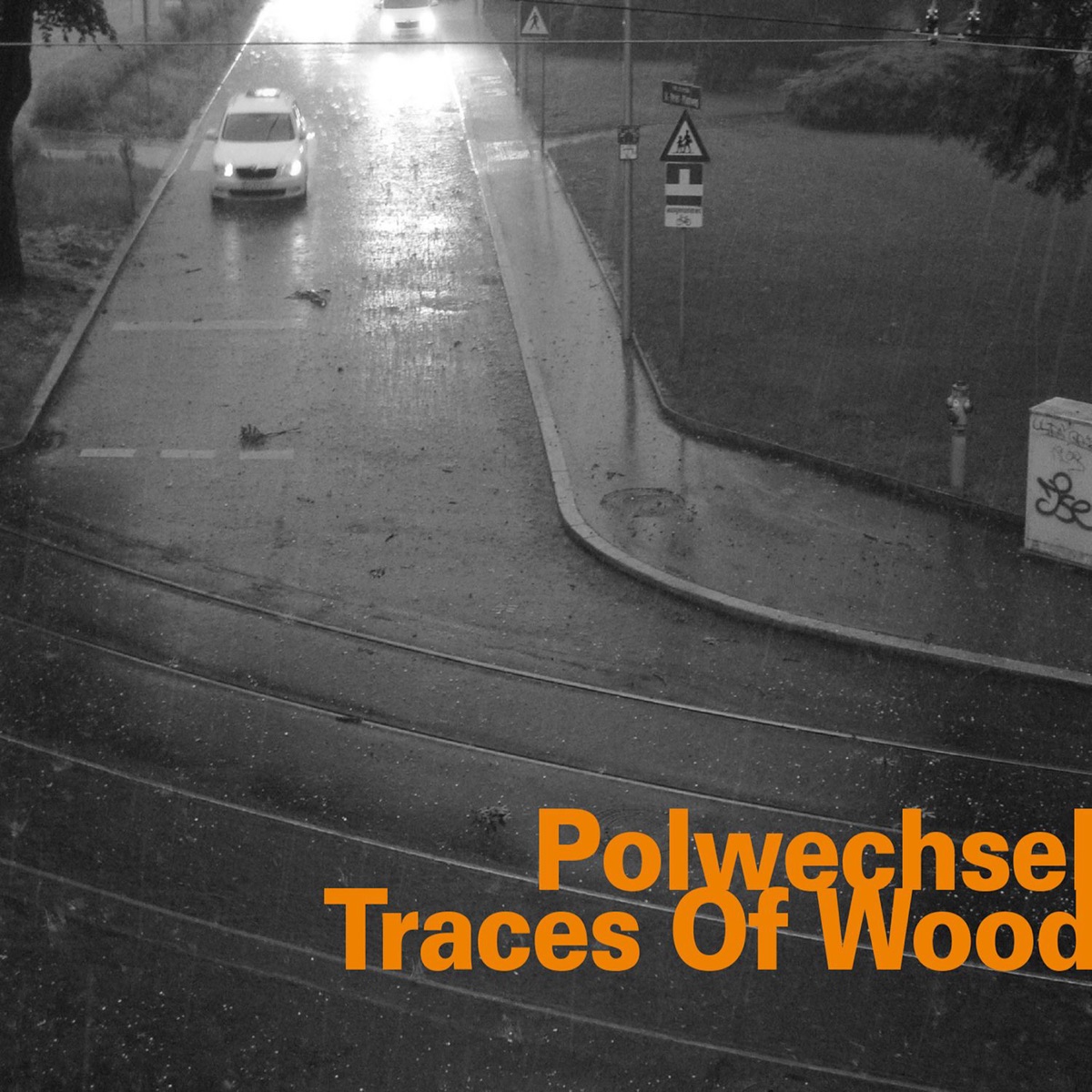 Traces of Wood (feat. Burkhard Beins, Martin Brandlmayr, Werner Dafeldecker & Michael Moser) by Polwechsel album cover