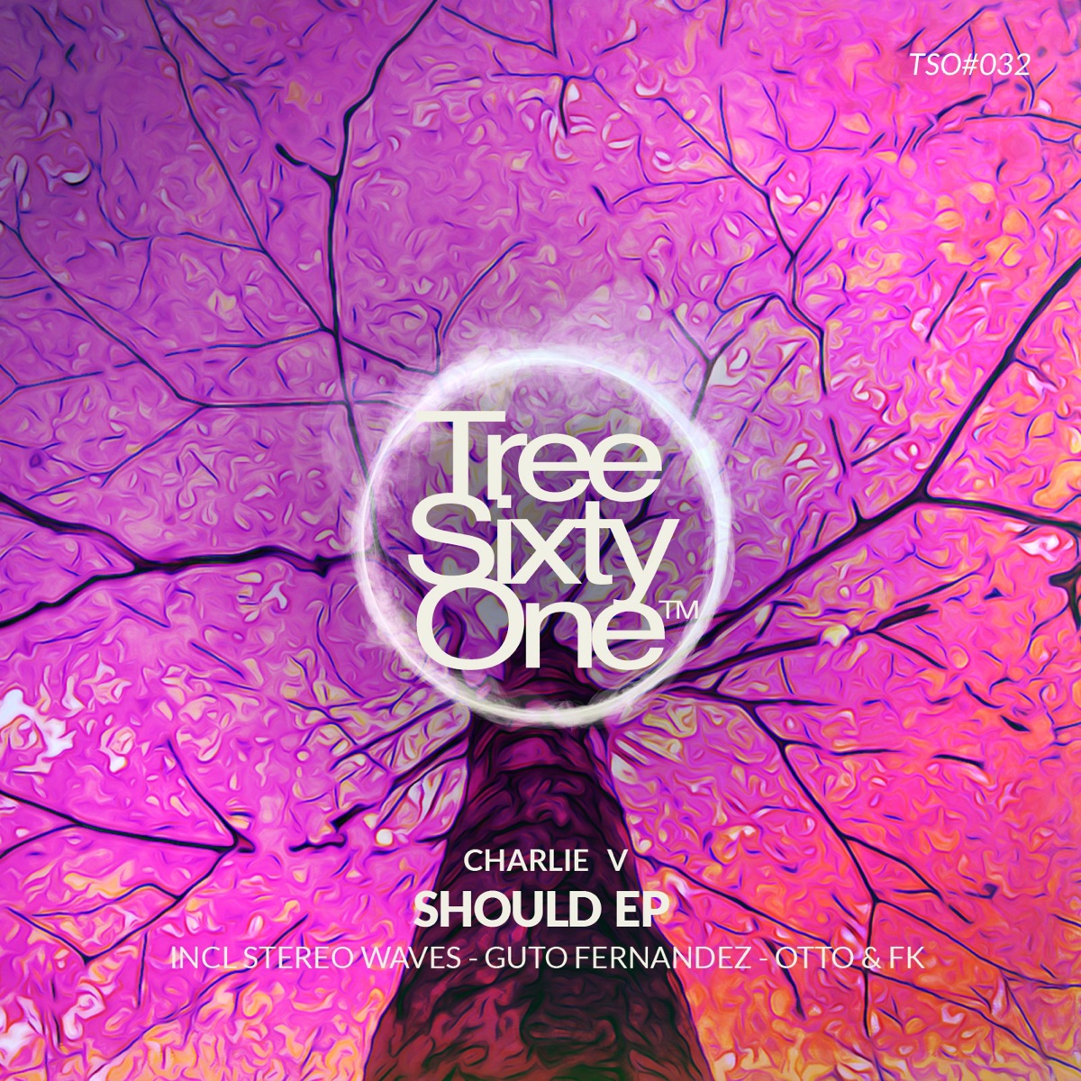 Should - EP by Charlie V album cover