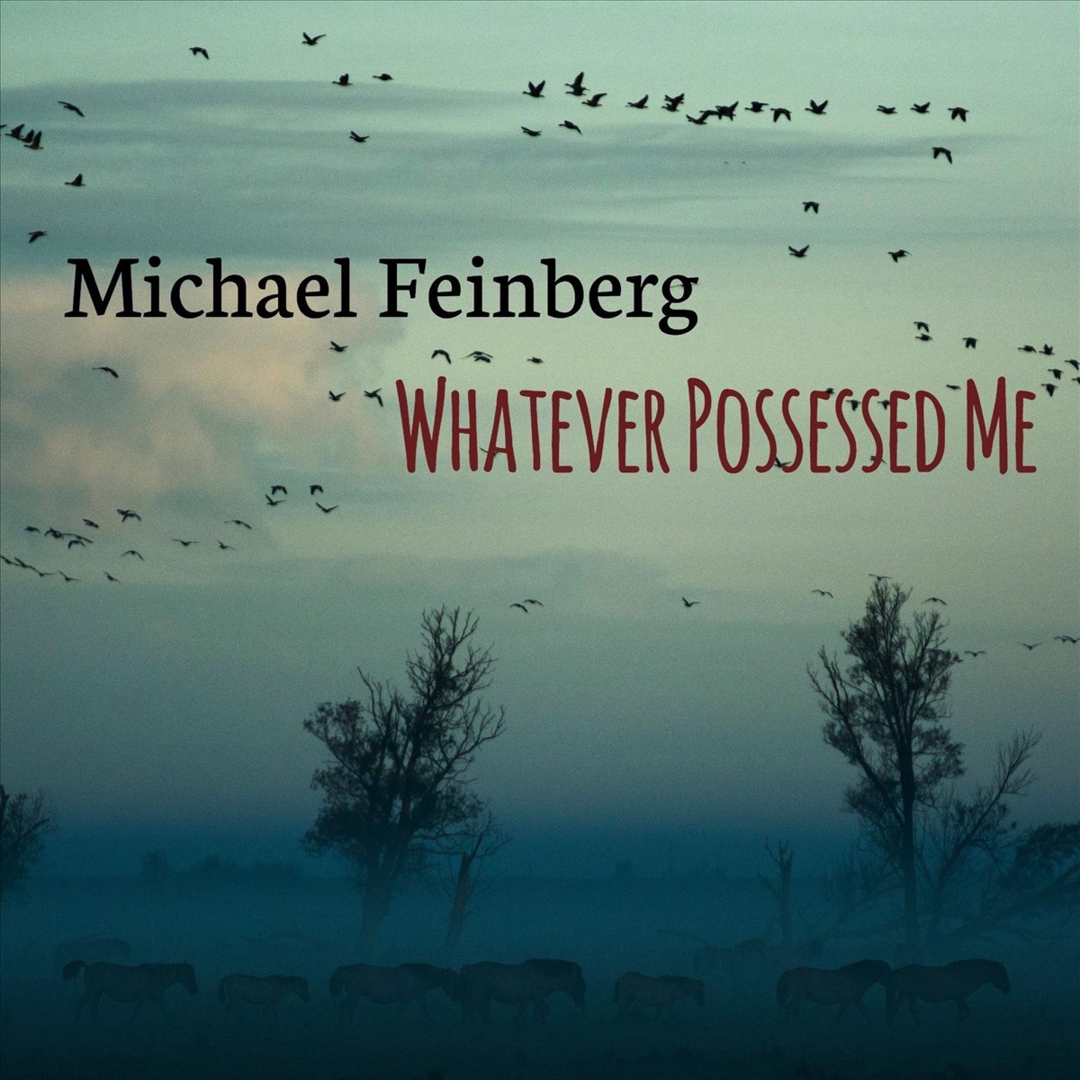 Whatever Possessed Me by Michael Feinberg album cover