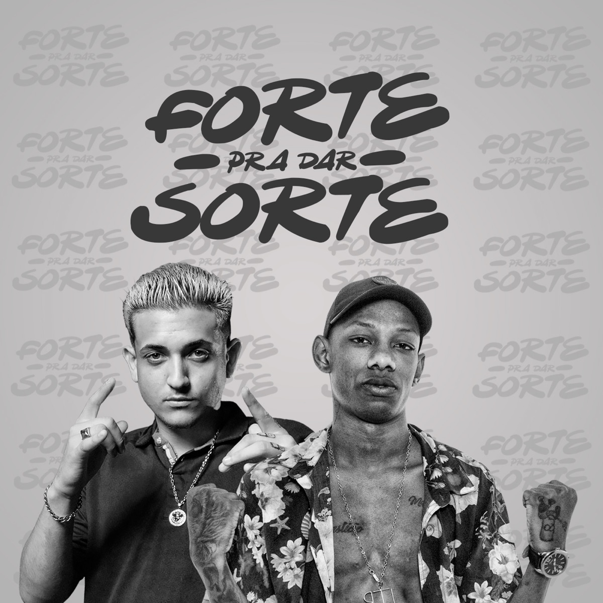 Forte pra Dar Sorte (feat. Mc Neguinho do ITR) - Single by MC Digu album cover