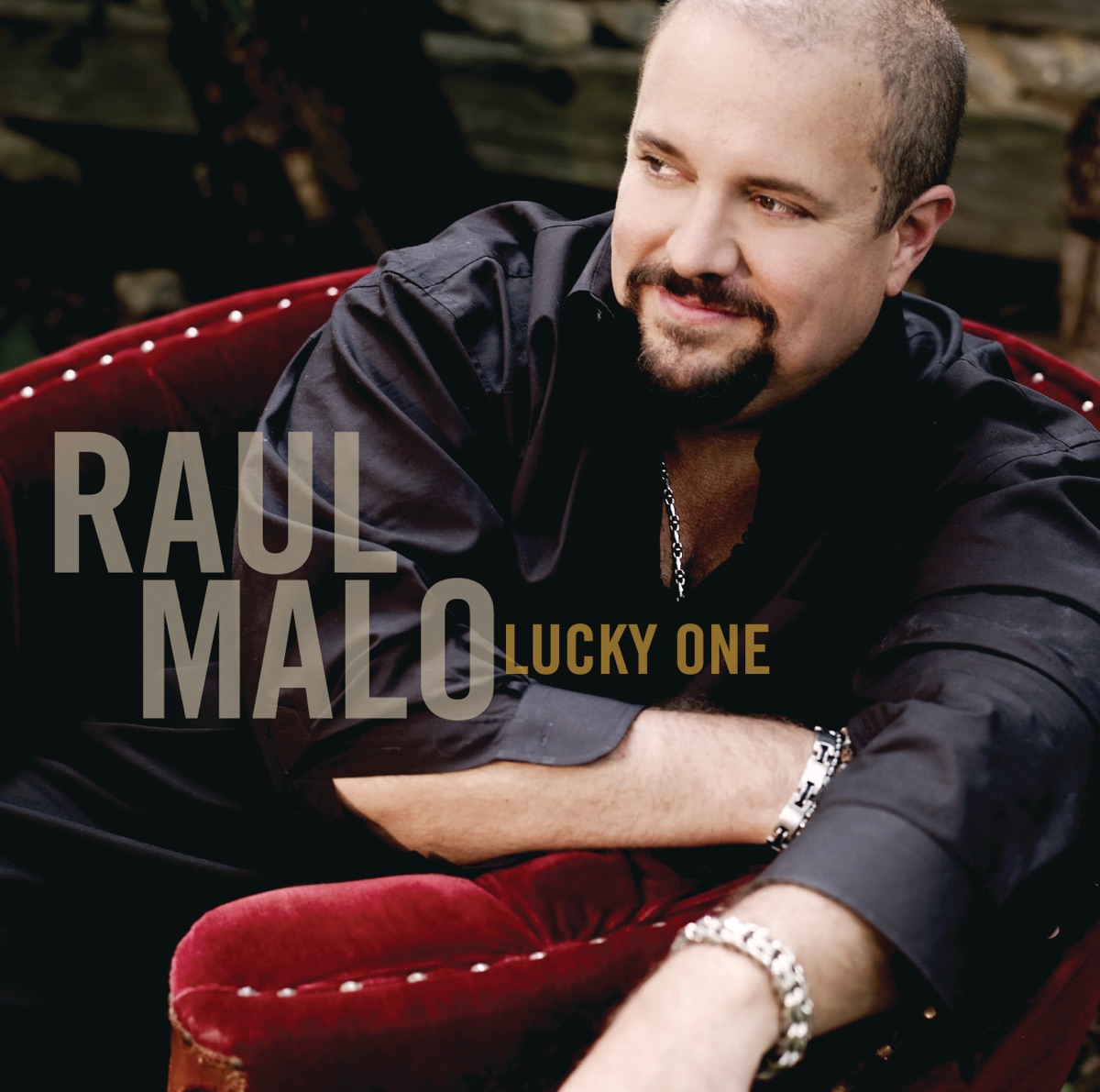 Lucky One by Raul Malo album cover