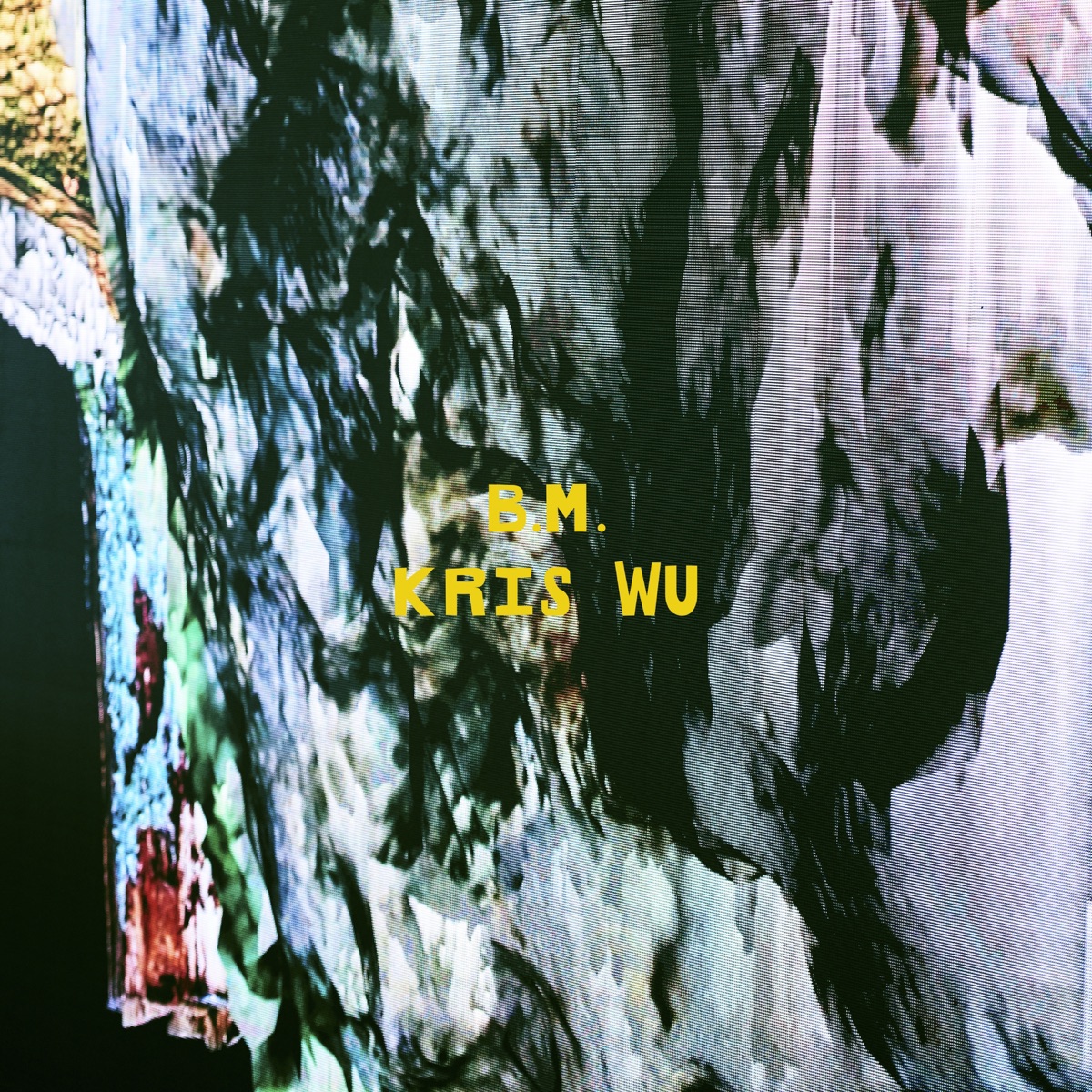 B.M. - Single by Kris Wu album cover