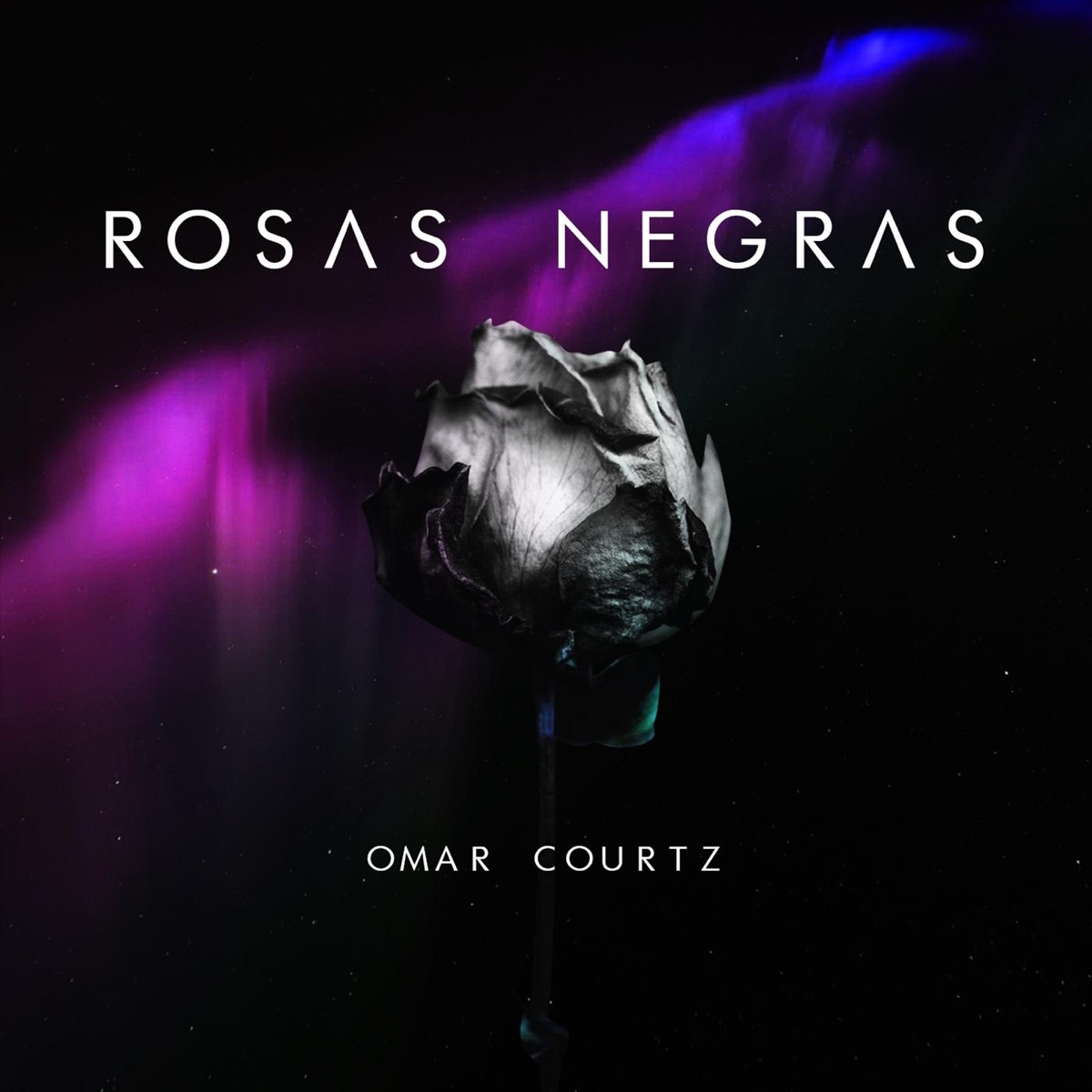 Rosas Negras - Single by Omar Courtz album cover artwork