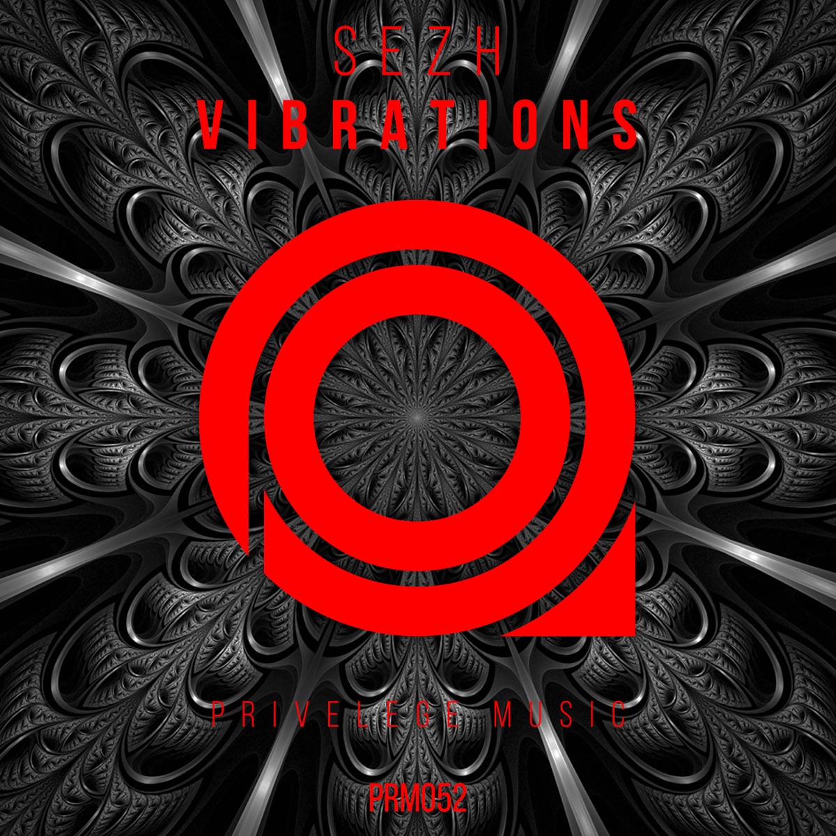 Vibrations - Single by Sezh album cover
