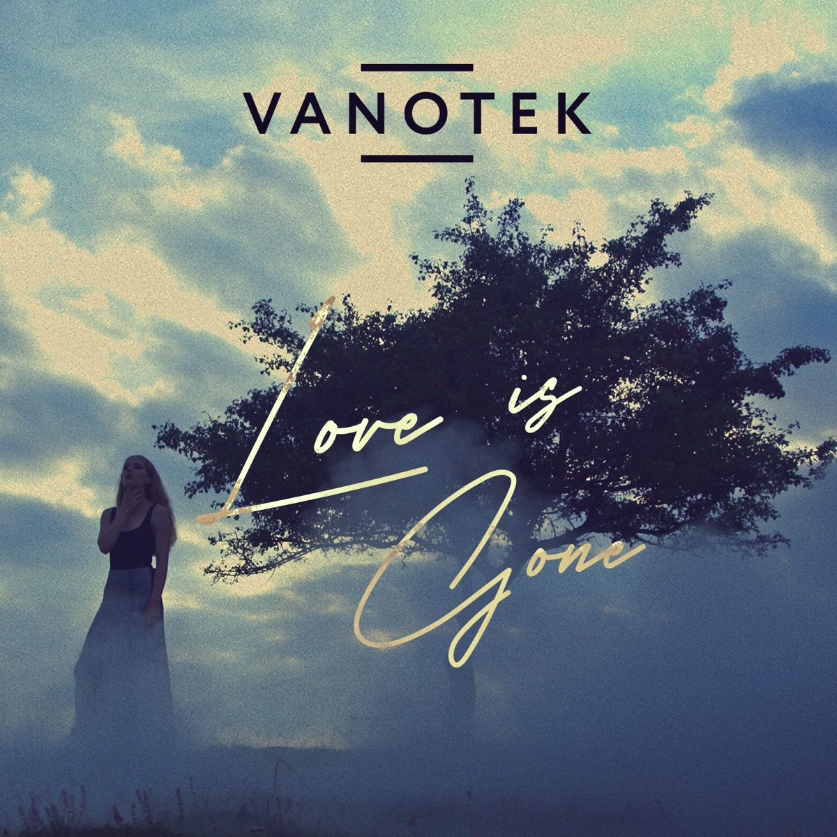 Love Is Gone - Single by Vanotek album cover