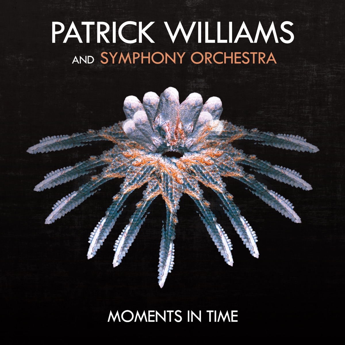 Moments in Time by Patrick Williams & Symphony Orchestra album cover