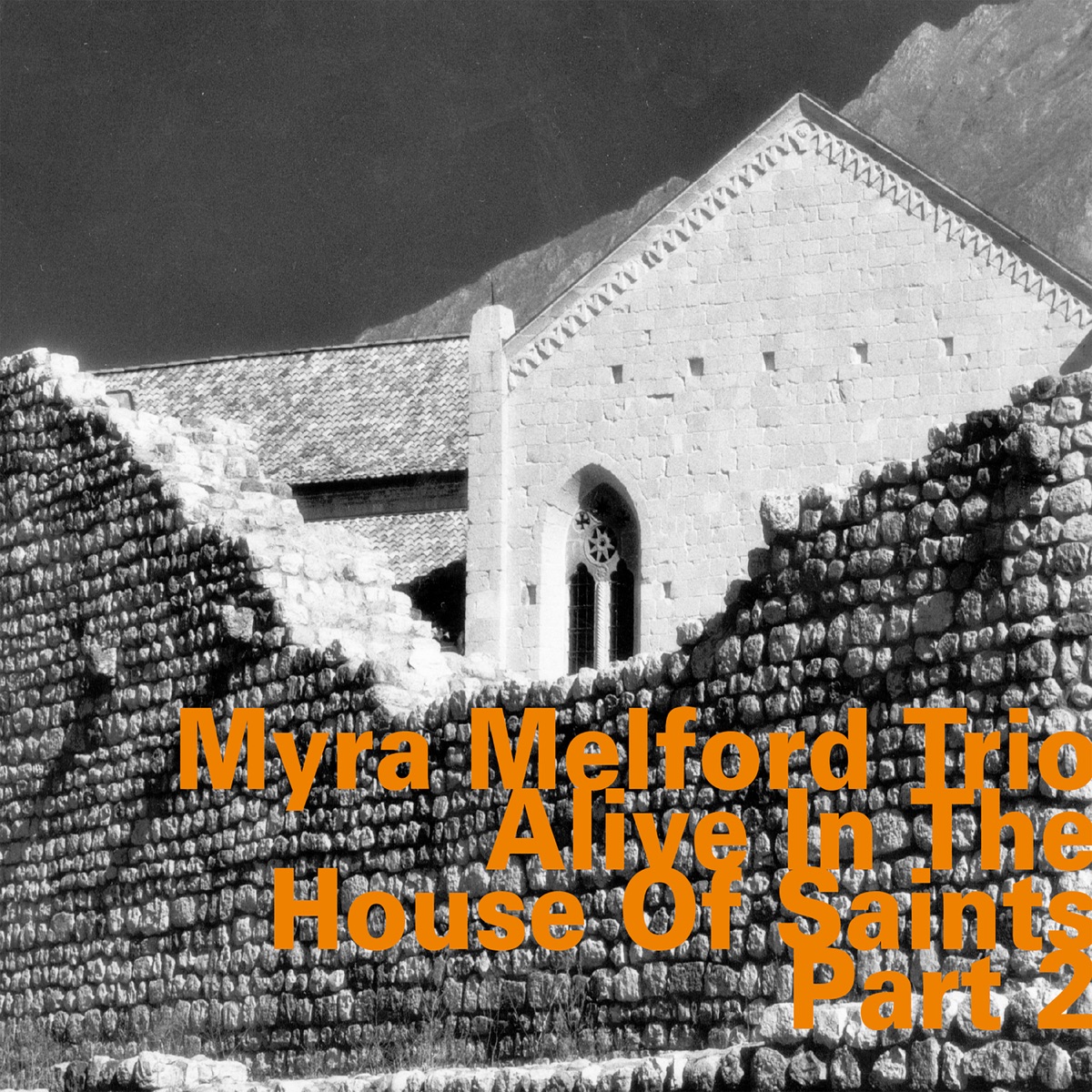 Alive in the House of Saints, Part 2 (feat. Myra Melford, Lindsey Horner & Reggie Nicholson) by Myra Melford Trio album cover