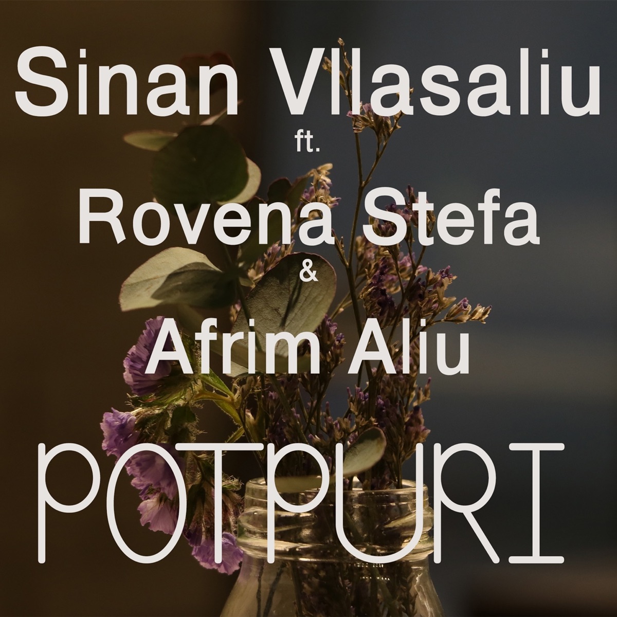 Potpuri 2006 (feat. Rovena Stefa & Afrim Aliu) by Sinan Vllasaliu album cover