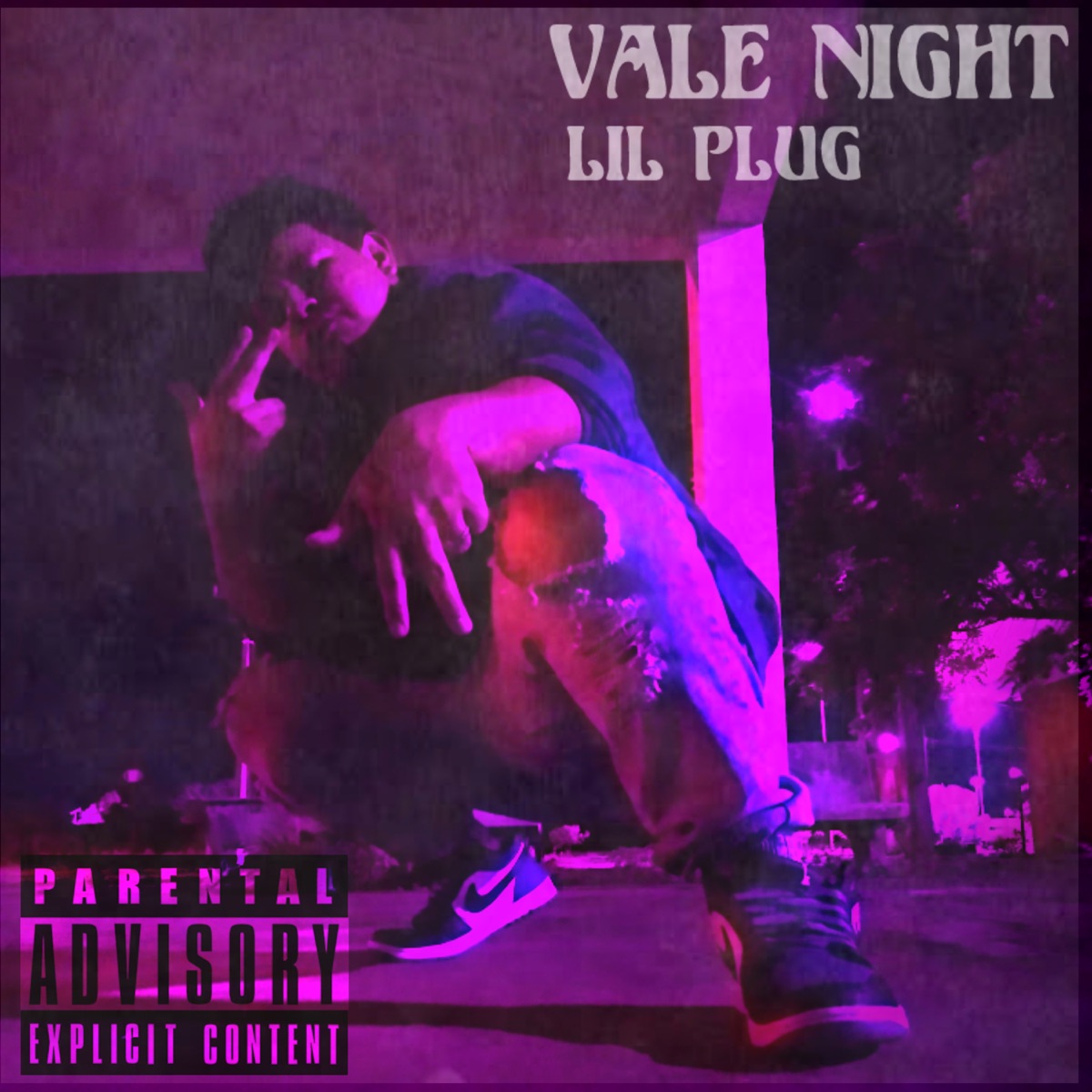 Vale Night - Single by Lil Plug & Aka Junin album cover