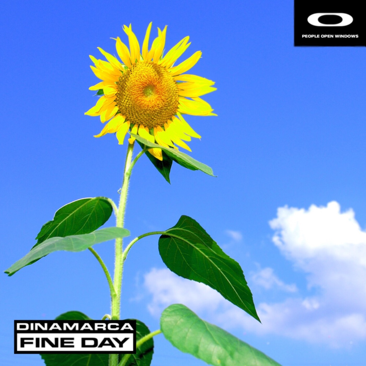 Fine Day - Single by Dinamarca album cover
