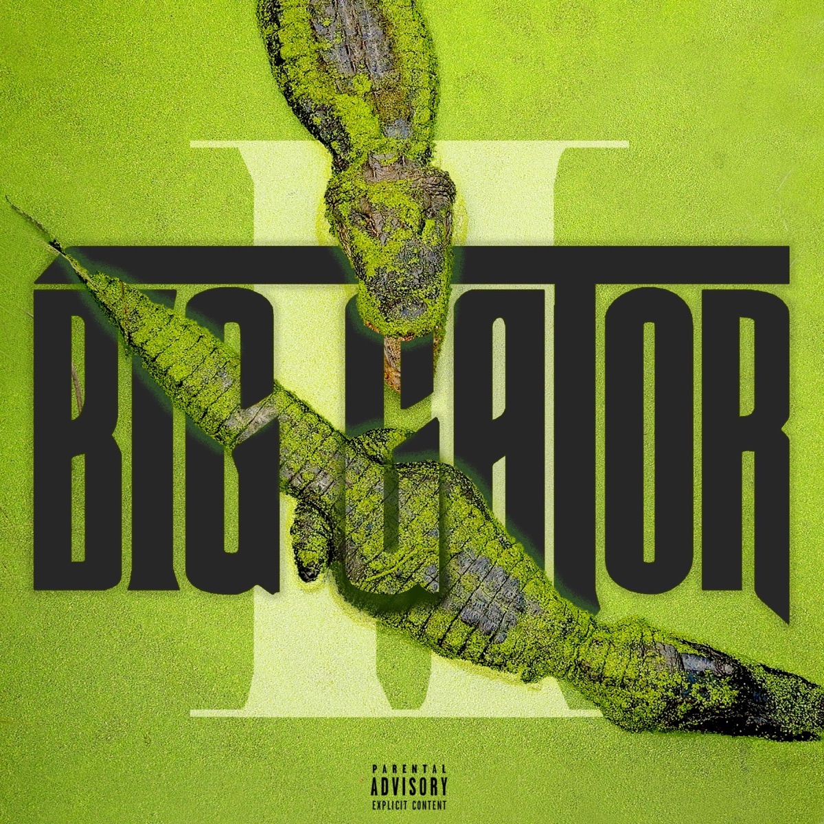 Big Gator 2 by Tipteezybte album cover