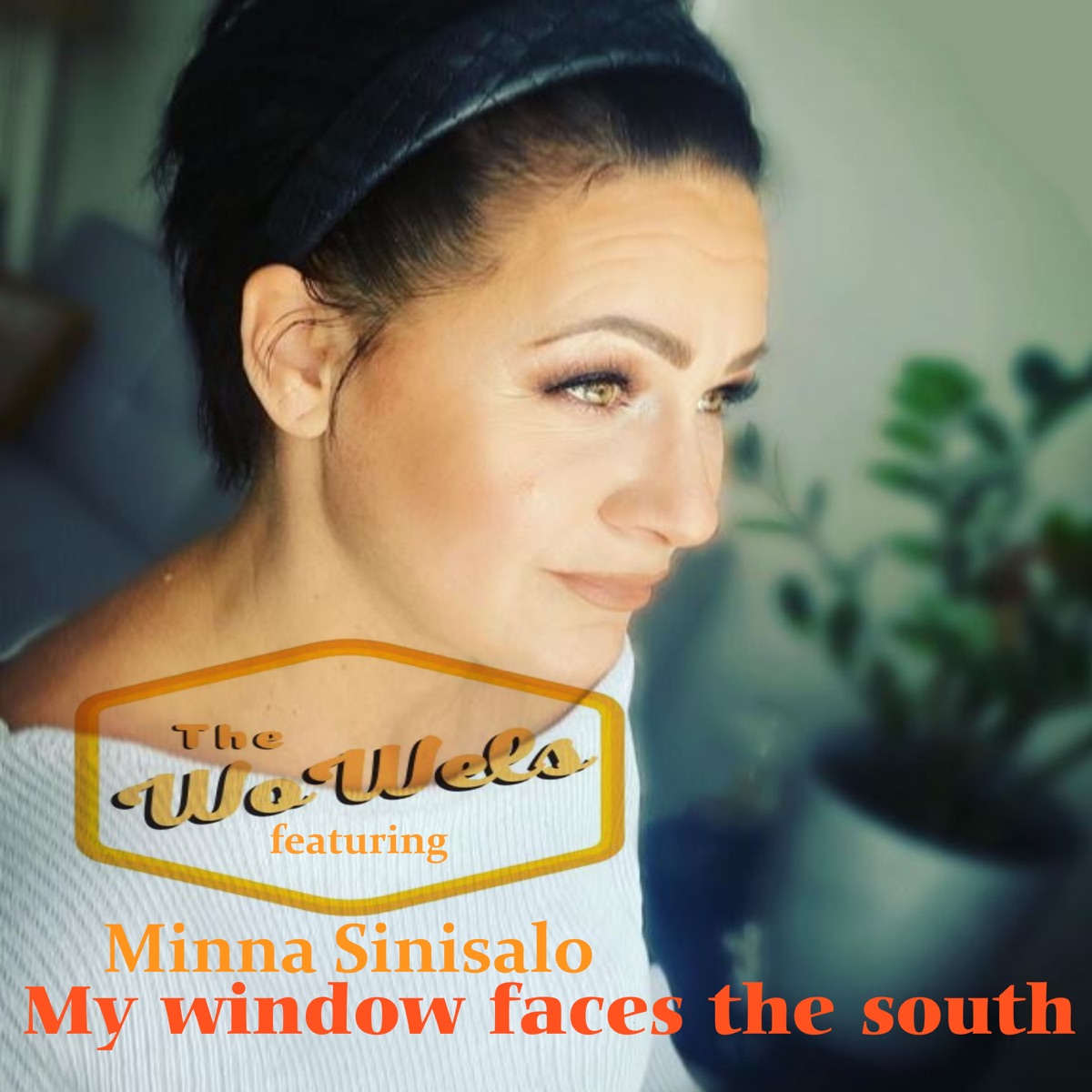 My Window Faces the South (feat. Minna Sinisalo) - Single by The WoWels album cover