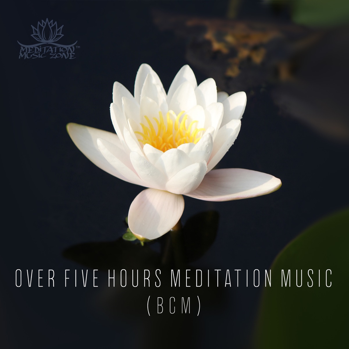 Over Five Hours Meditation Music (BGM) by Meditation Music & Meditation Music Zone album cover