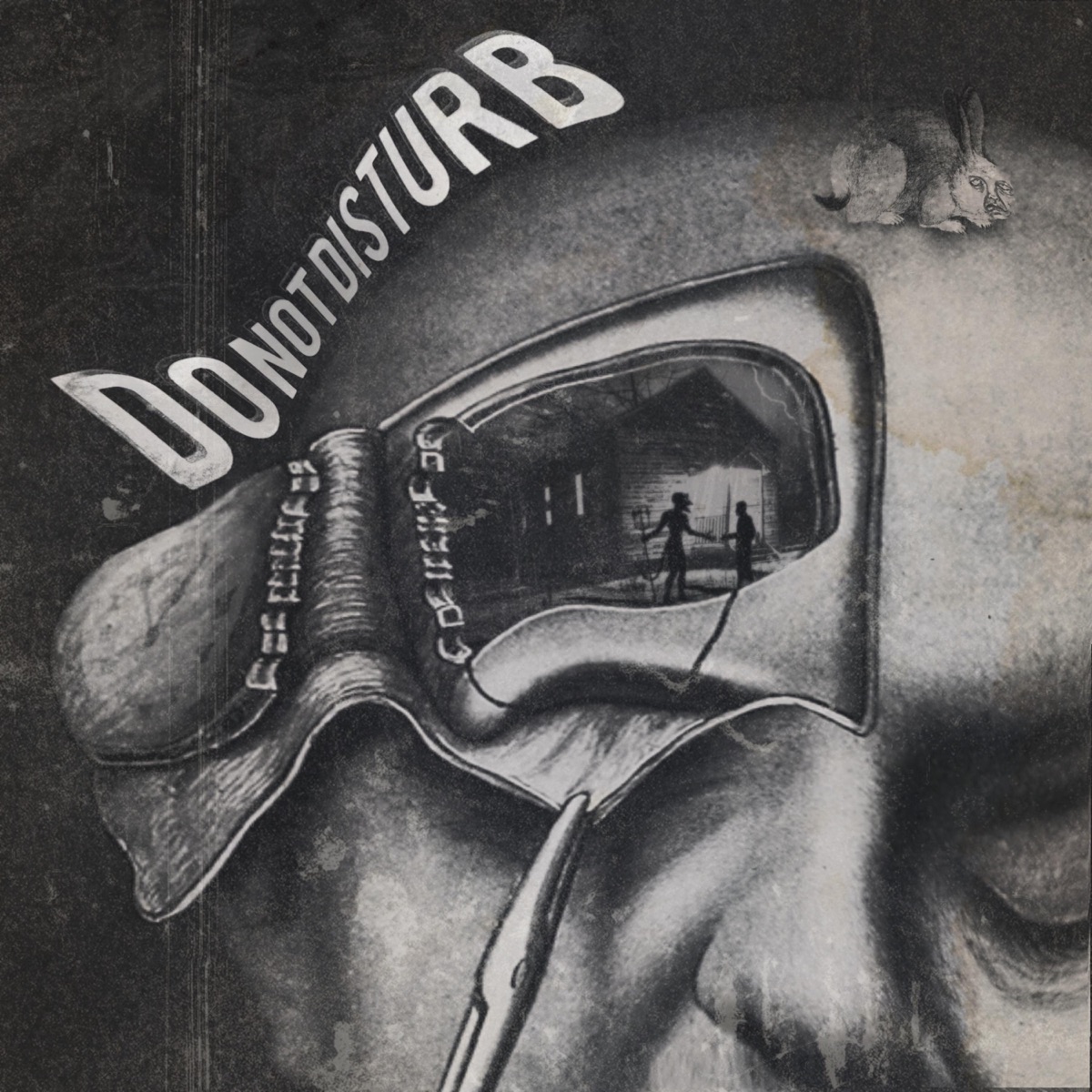 Do Not Disturb - Single by Hydra album cover
