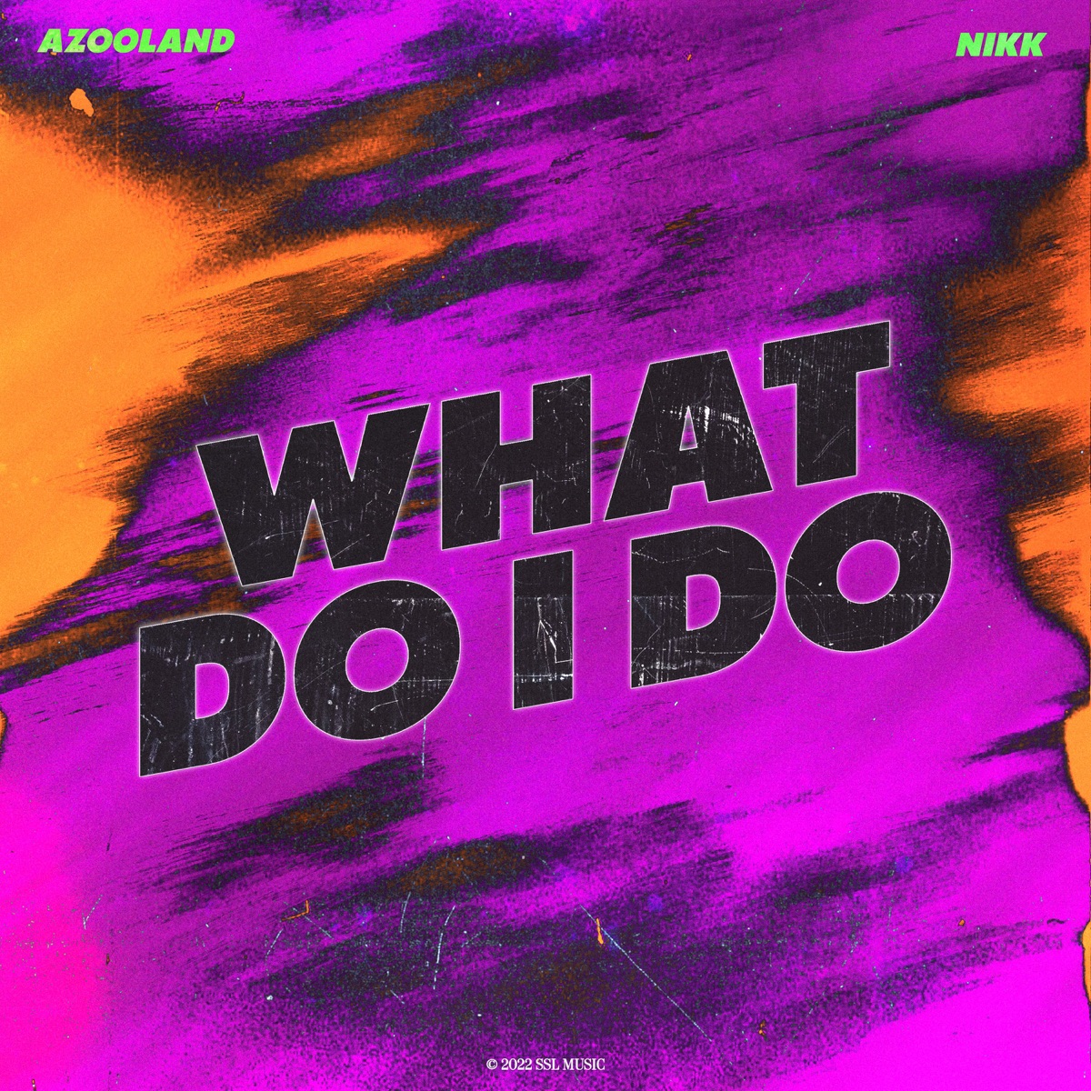 What Do I Do - Single by Azooland & Nikk. album cover
