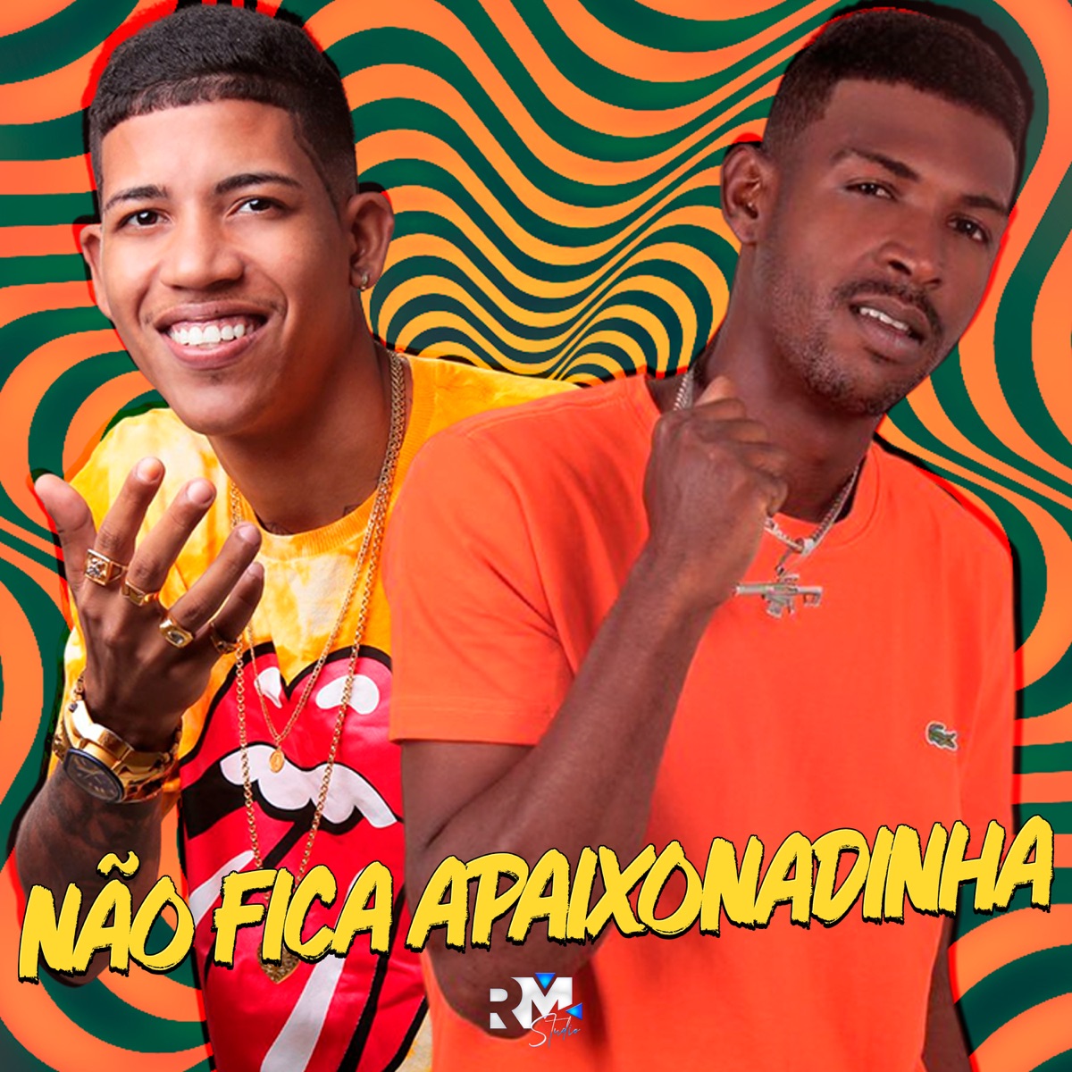 Não Fica Apaixonadinha - Single by Neguin ZN & MC V2 album cover