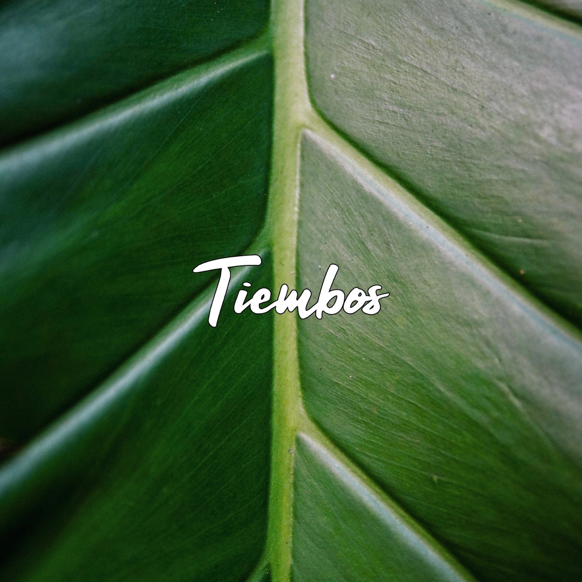 Tiembos - Single by Living Room & Ricardo Schneider album cover