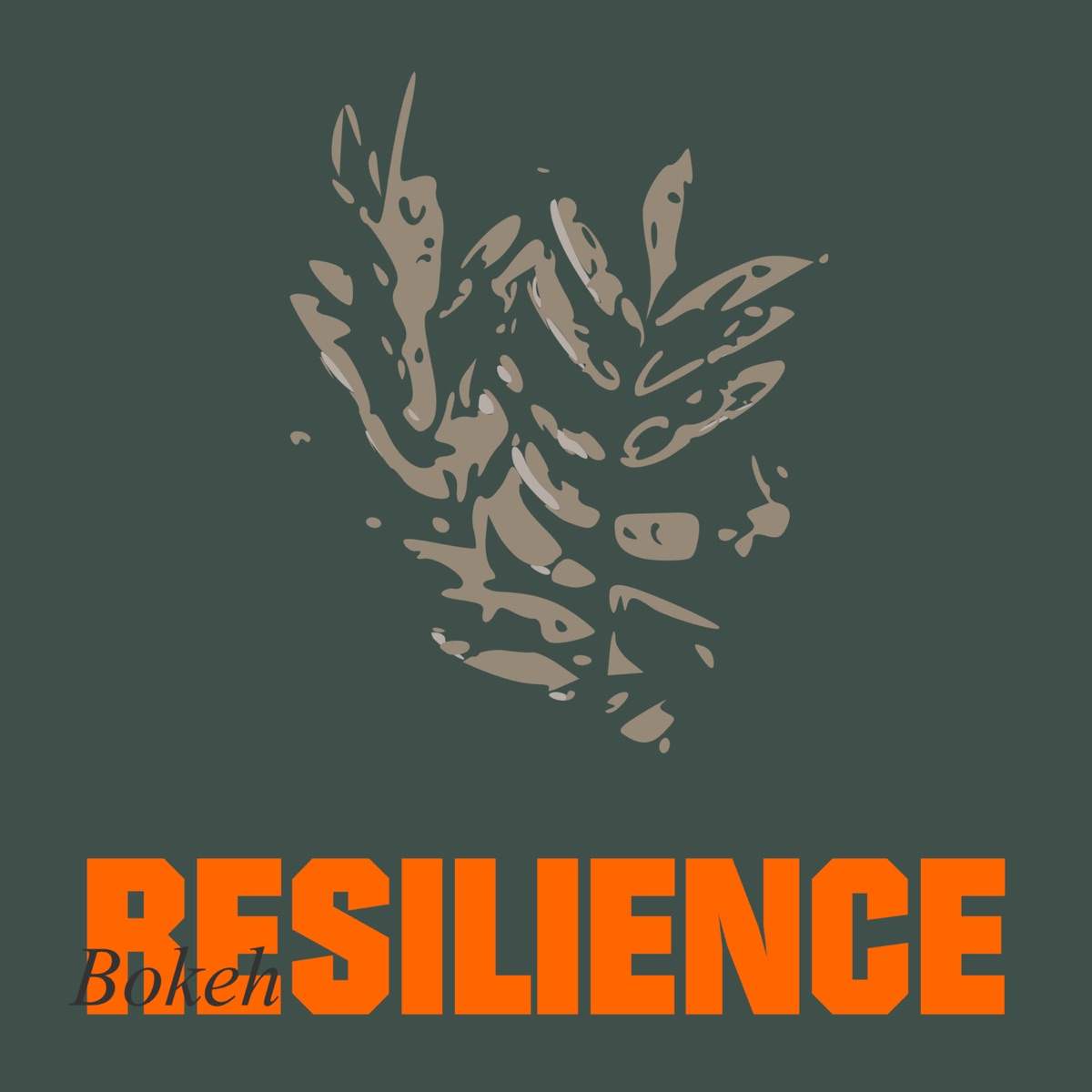 Resilience - Single by Bokeh album cover