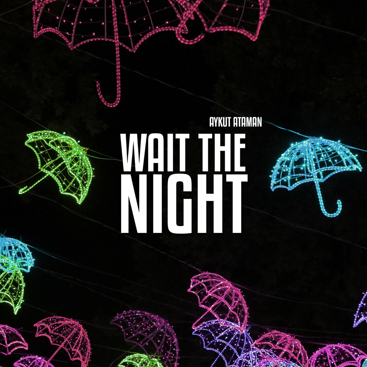Wait the Night - Single by Aykut Ataman album cover