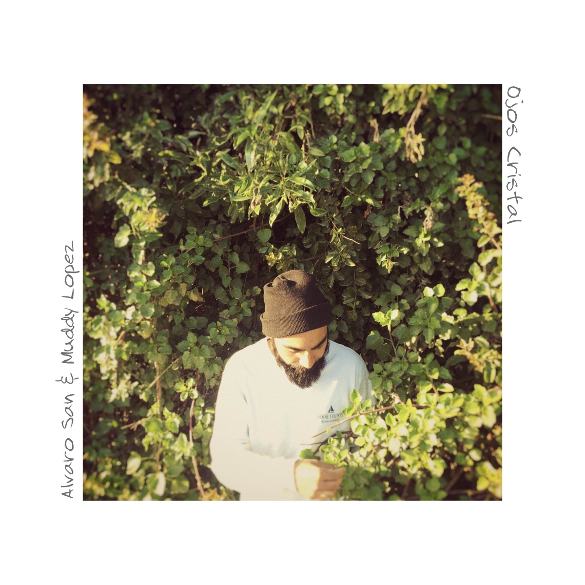 Ojos Cristal - Single by Alvaro San & Muddy Lopez album cover