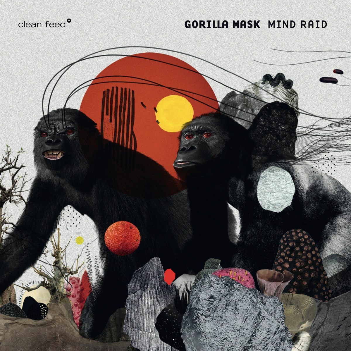 Mind Raid by Gorilla Mask album cover
