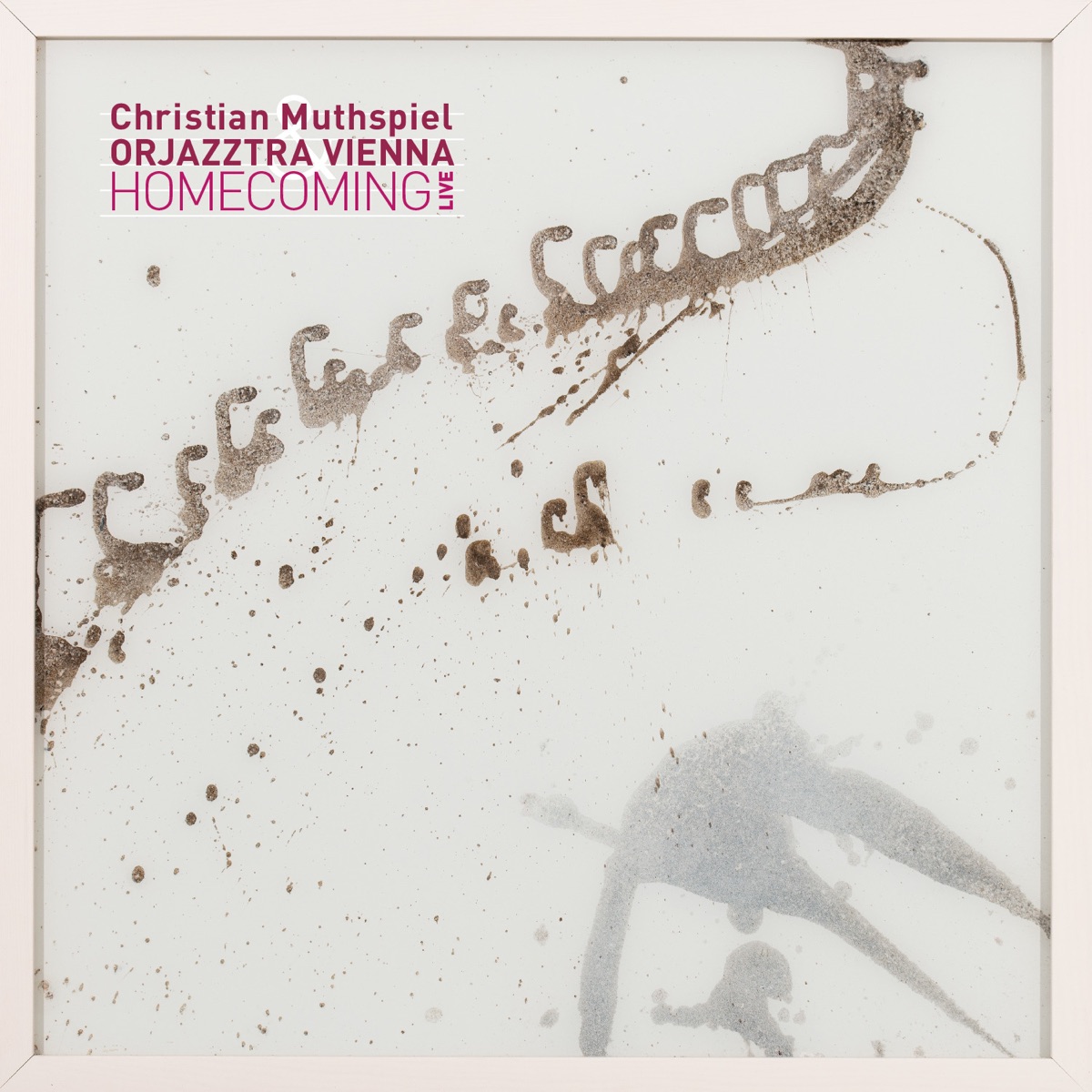 Homecoming (Live) by Christian Muthspiel album cover