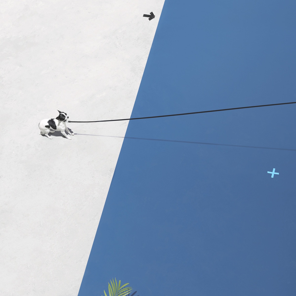 Can't Forget You (feat. Chelsea Lankes) - Single by RAC album cover