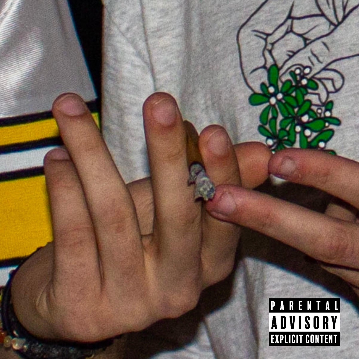 Sunday Swishers (feat. Canyon & Jibba) - Single by C. Flynn album cover
