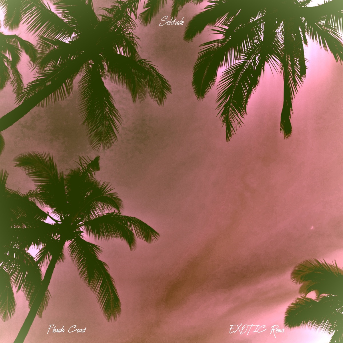 Florida Coast (EXOTIC Remix) - Single by Solitude album cover