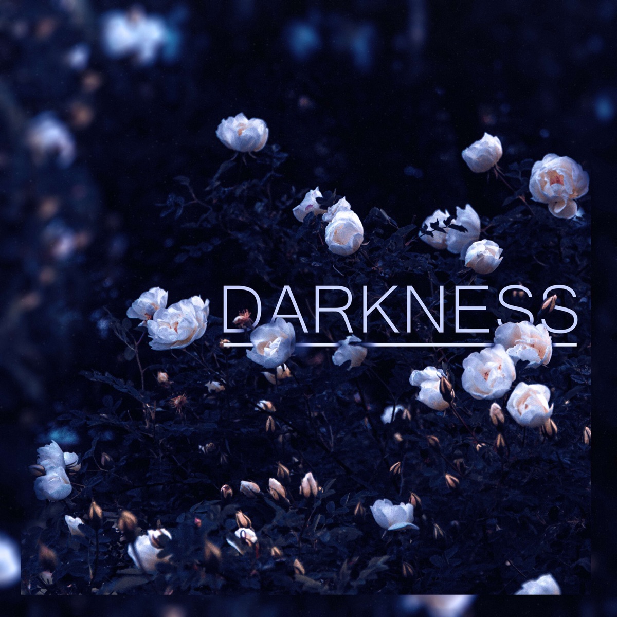 darkness - Single by Kirkinson & Lirth album cover