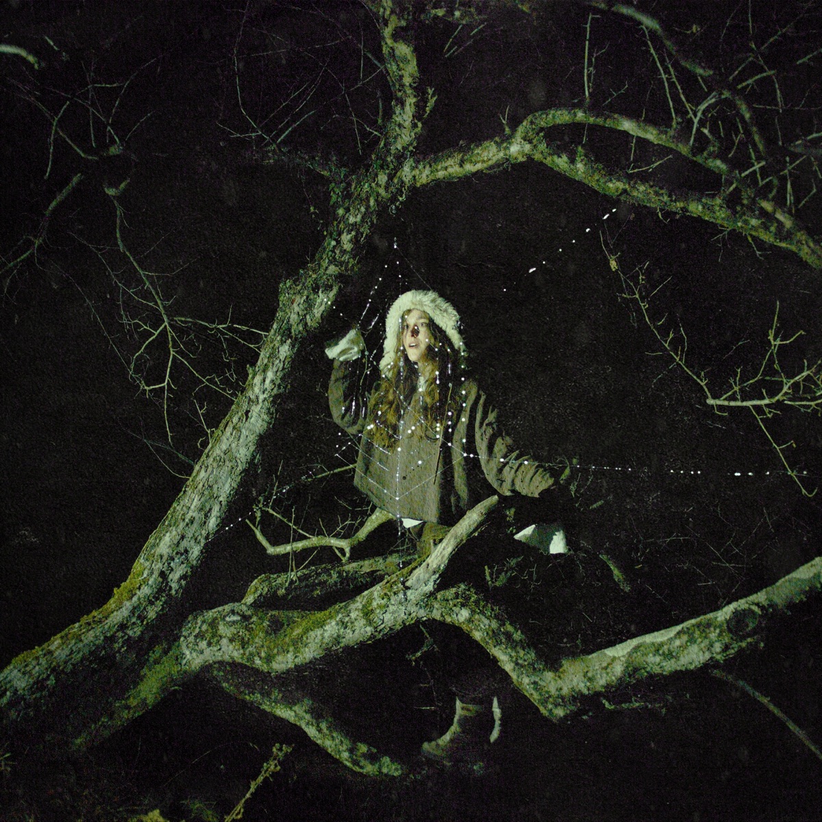Devote - Single by Pitou album cover