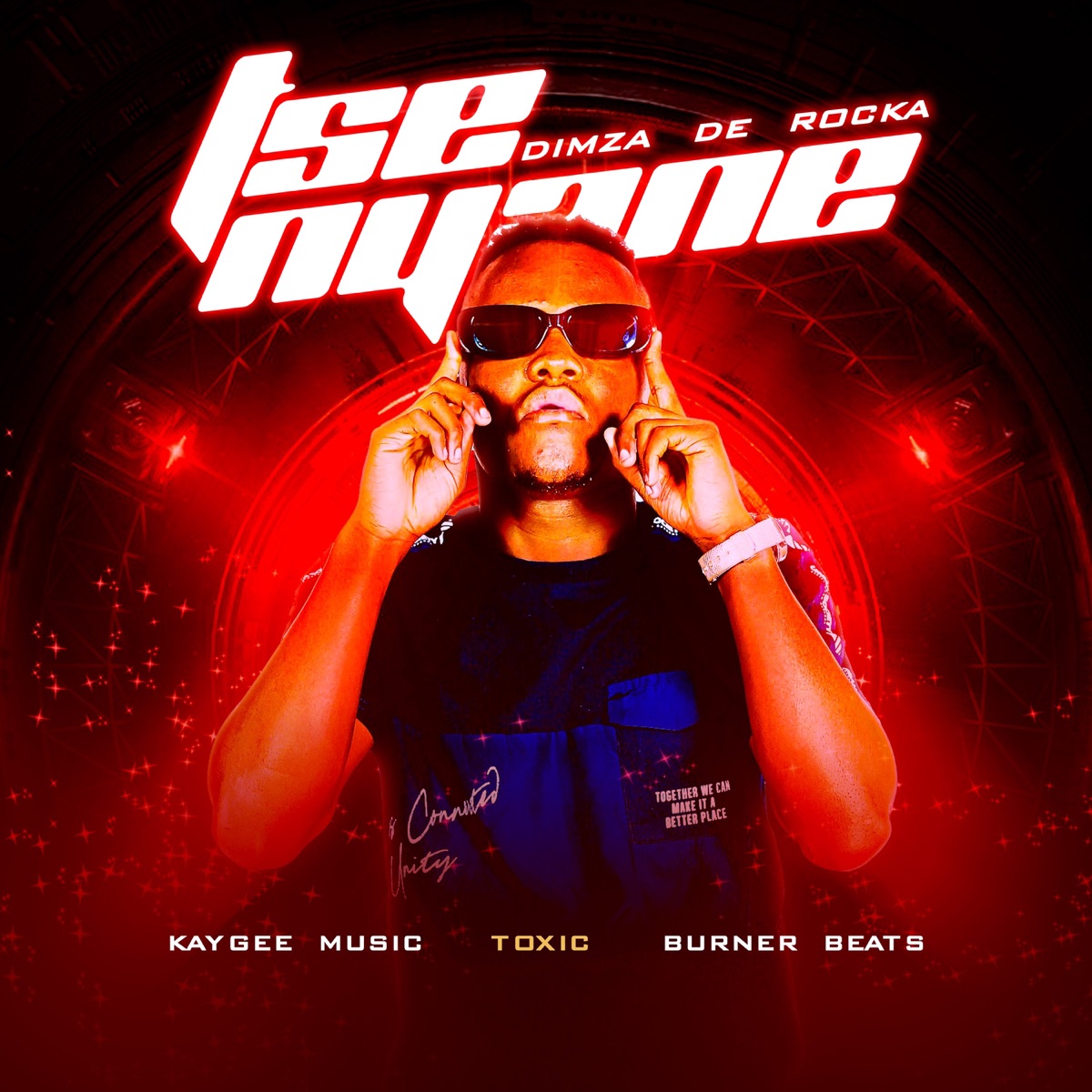 Tse Nyane (feat. Burner Beats, Kaygee Music & Toxic) - Single by Dimza De Rocka album cover