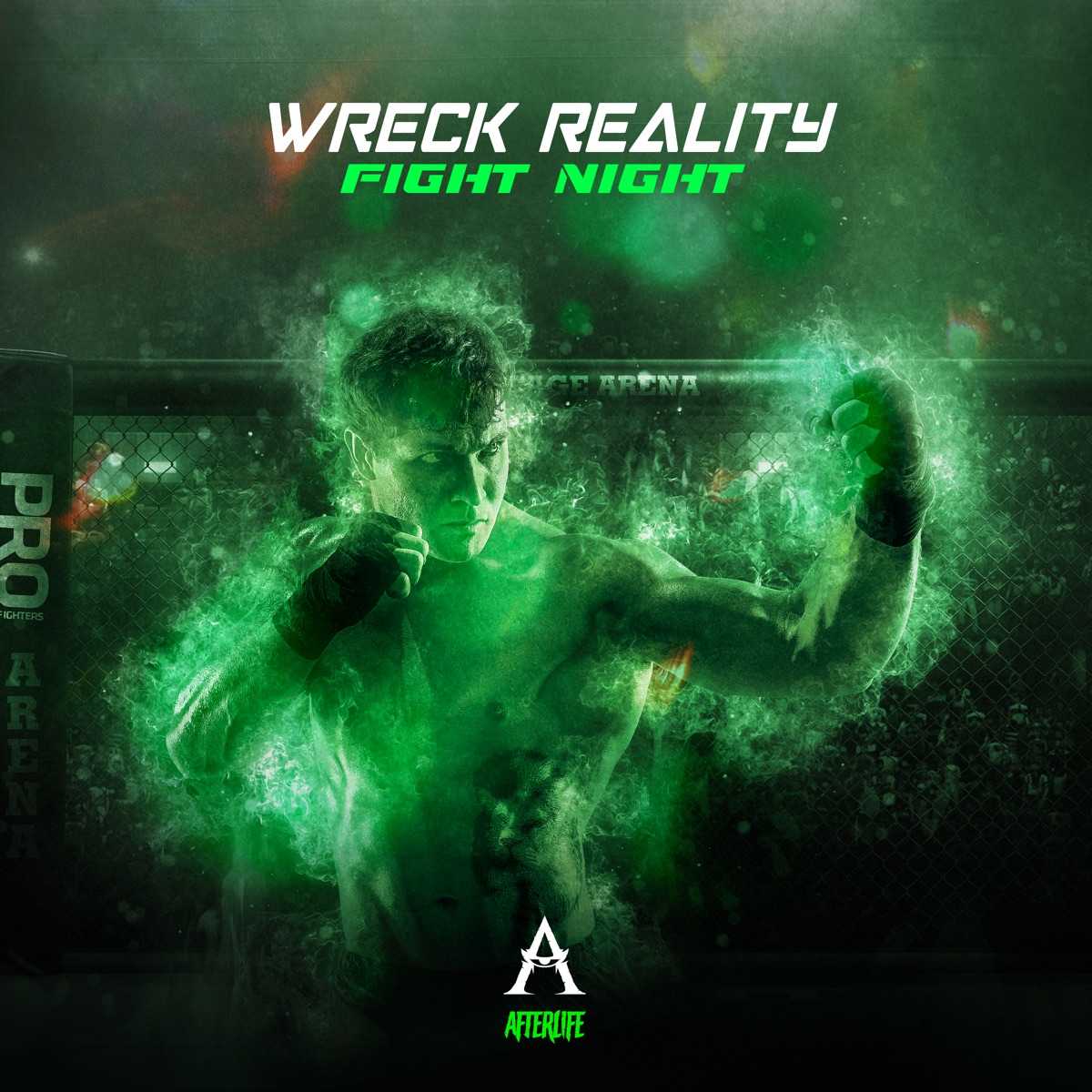 Fight Night (Extended Mix) - Single by Wreck Reality album cover