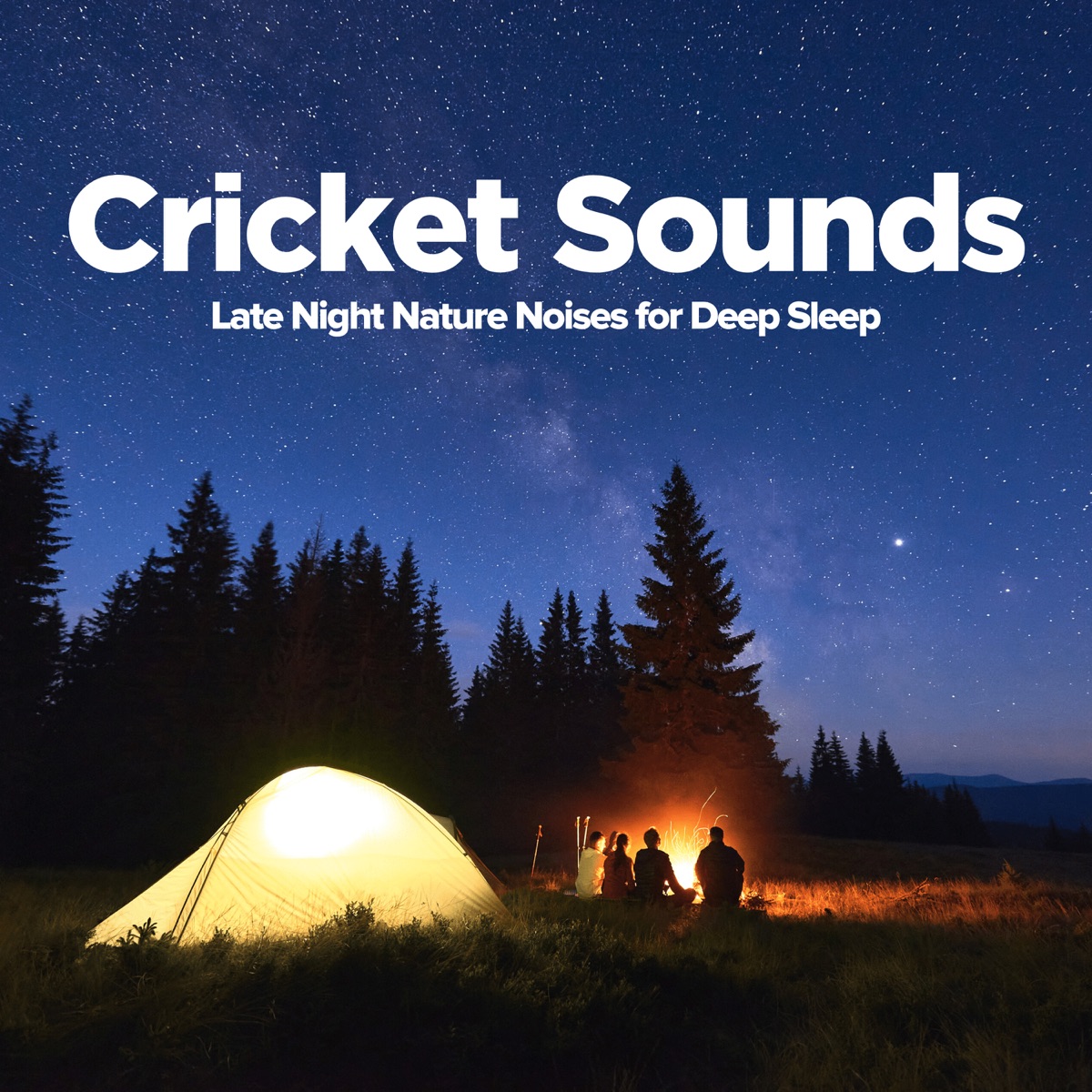 Cricket Sounds: Late Night Nature Noises for Deep Sleep - EP by SleepTherapy album cover artwork