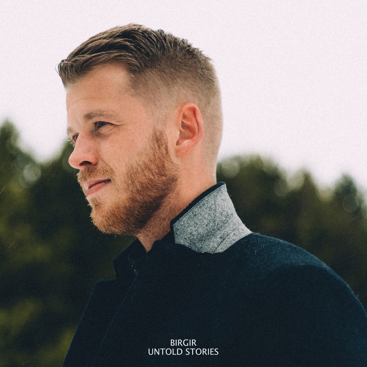 Untold Stories by Birgir album cover