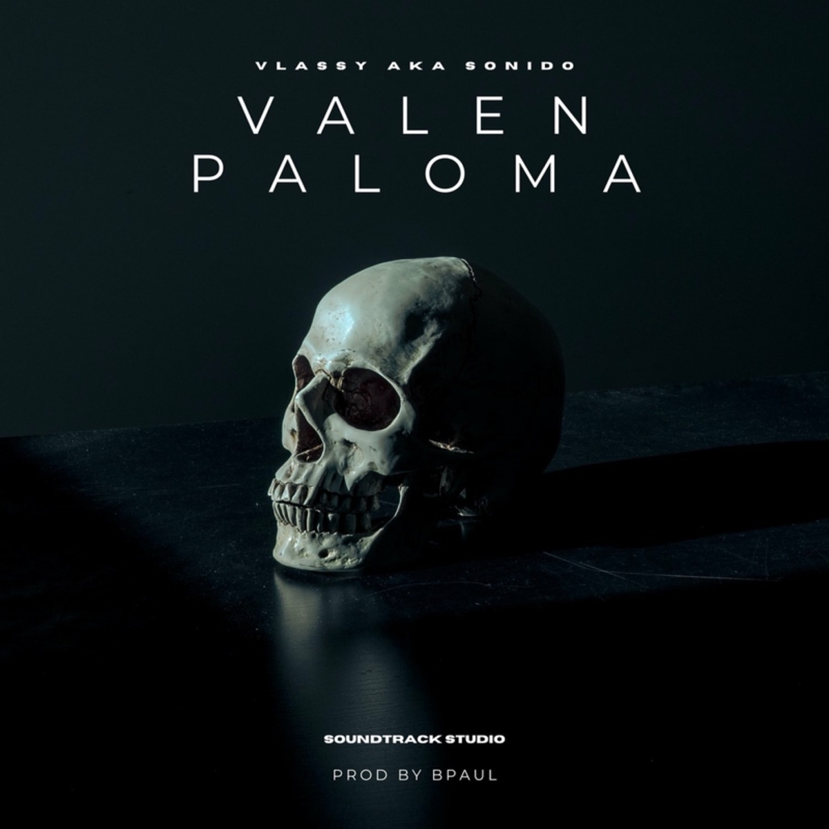 Valen Paloma - Single by Vlassy album cover