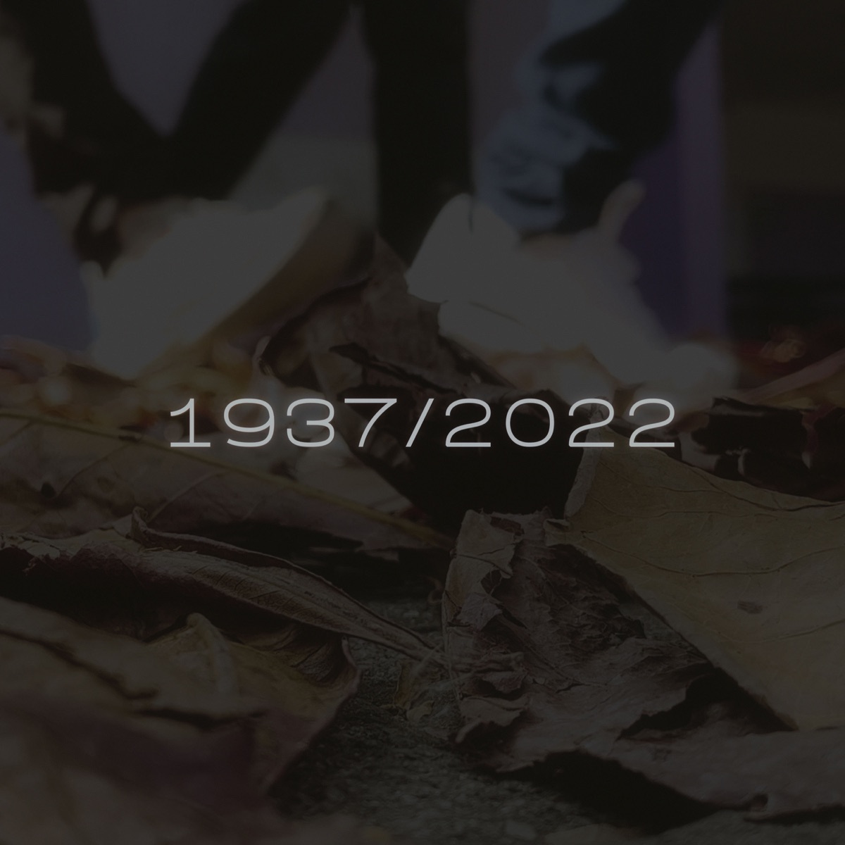 1937/2022 - Single by HIMURA album cover