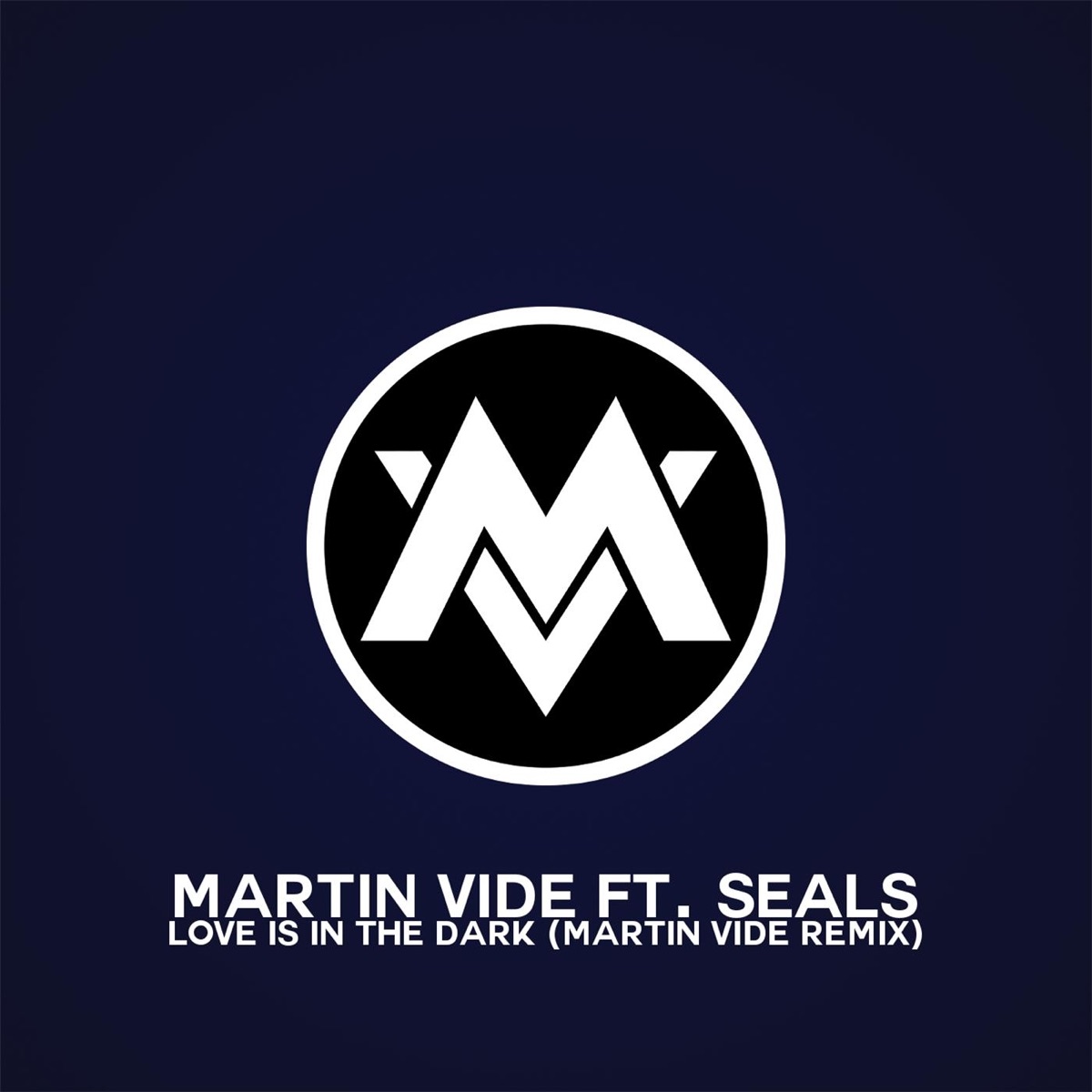 Love Is in the Dark (Martin Vide Remix) [feat. Seals] - Single by Martin Vide album cover
