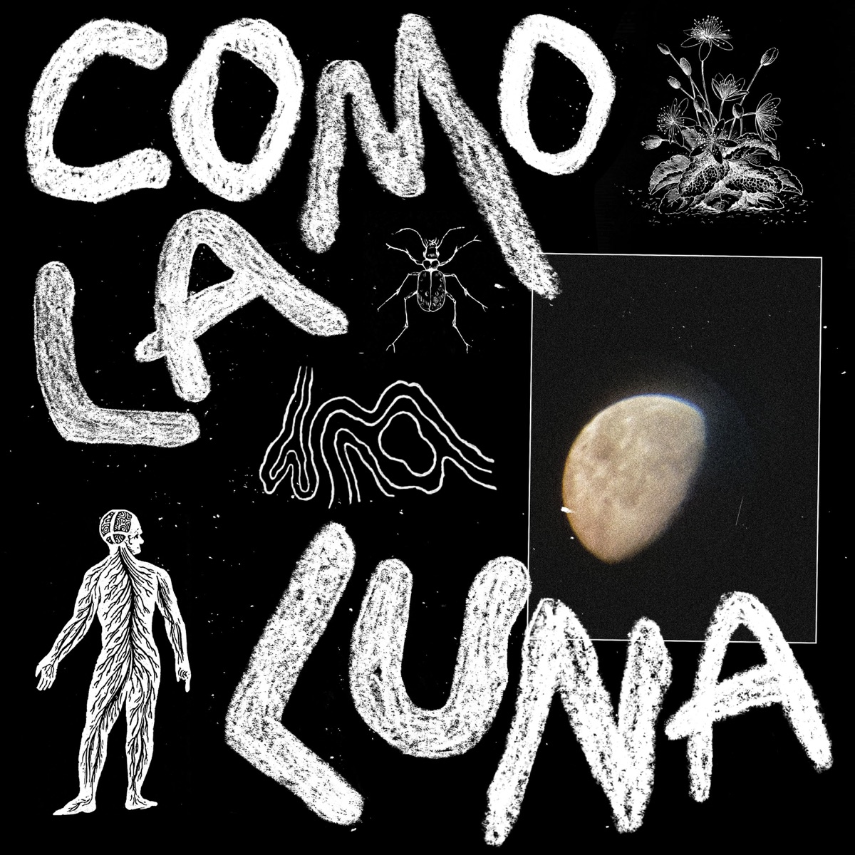 Como La Luna - Single by Gutinho album cover