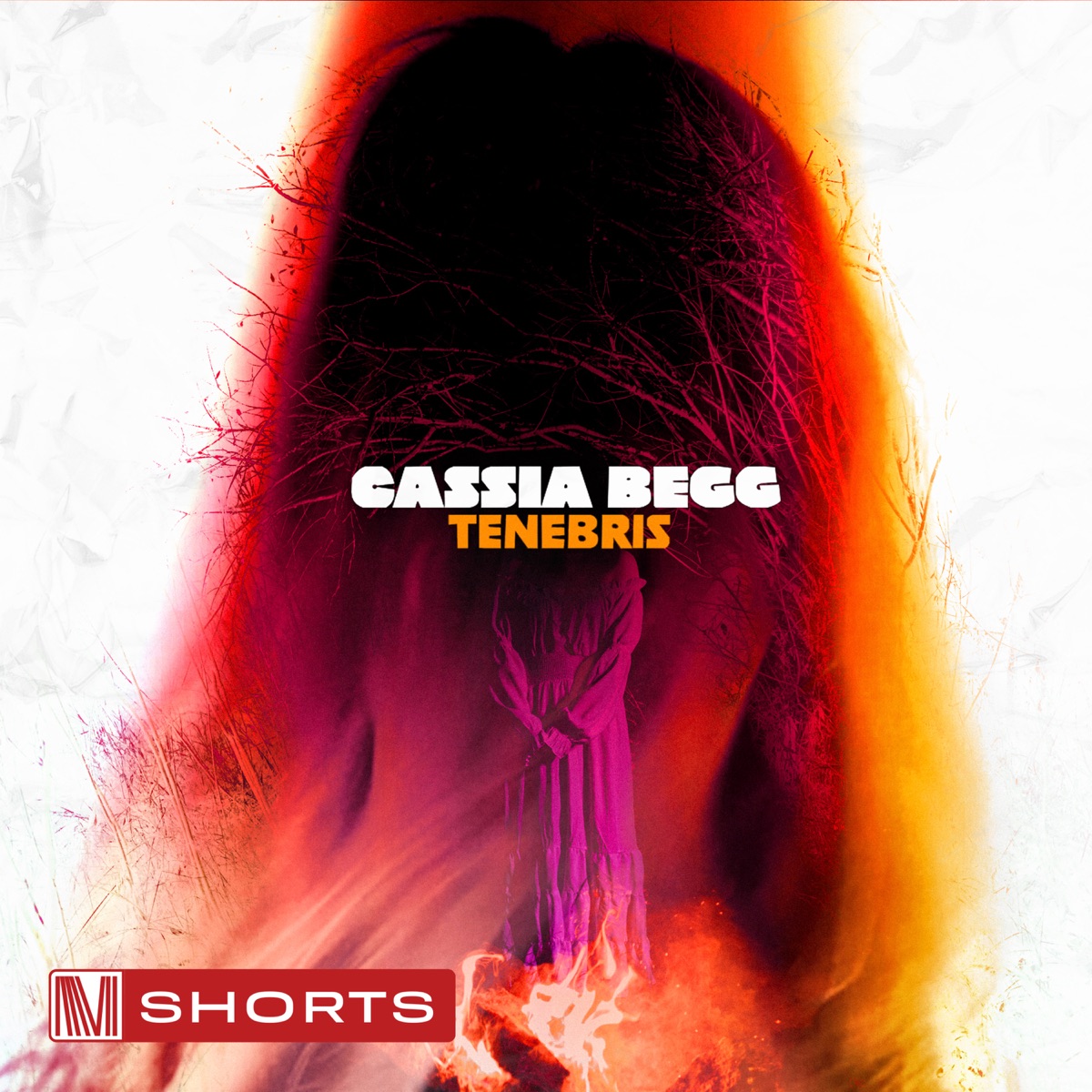 Cassia Begg: Tenebris - EP by Damon Baxter, Cassia Begg & Simon Begg album cover