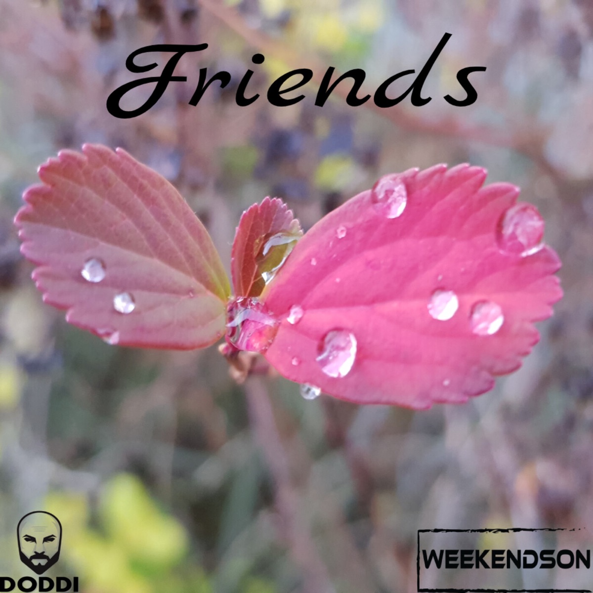 Friends - Single by Doddi, Weekendson, Inger & Irisey album cover