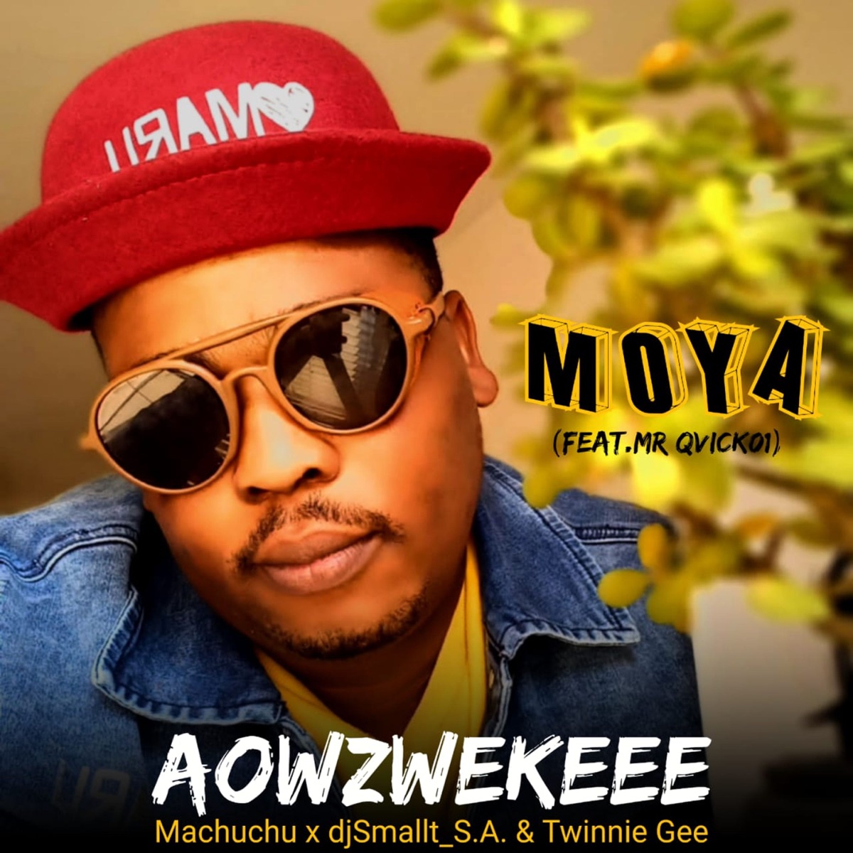 Moya (feat. MR QVICK01) [with djSmallt_S.A. & Twinnie Gee] - Single by Machuchu album cover