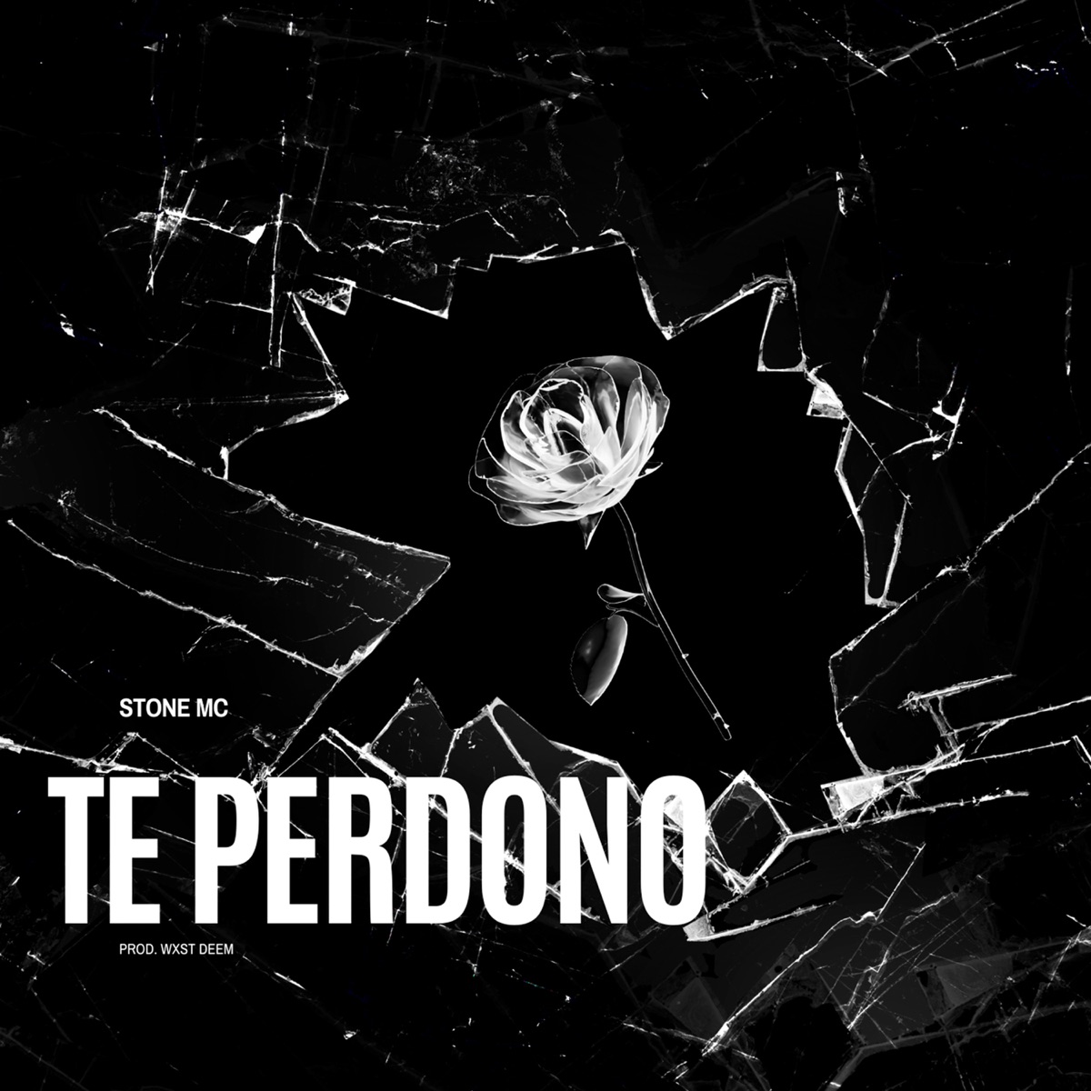 Te Perdono - Single by Stone Mc album cover