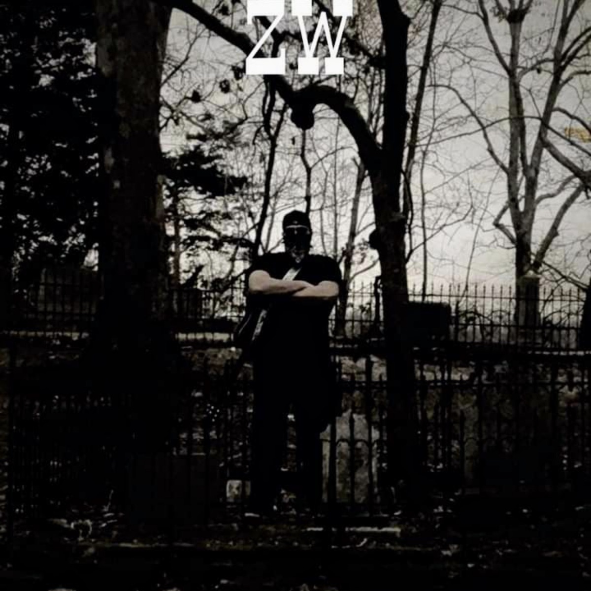 Blue Moon Night - Single by ZW album cover