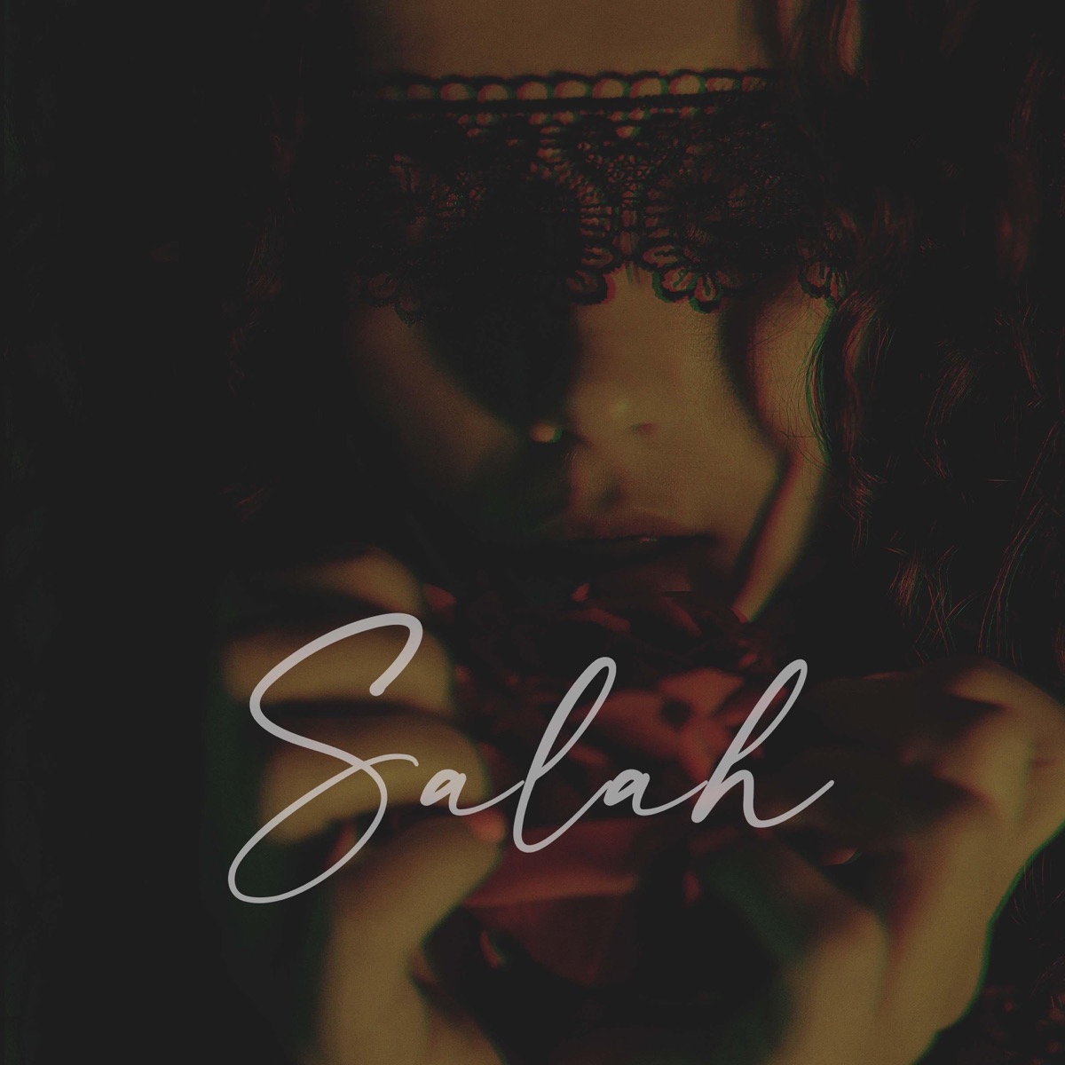 Salah (feat. LA Turnip, Son Dheztrow & Ardetto) - Single by HvrtzLab album cover