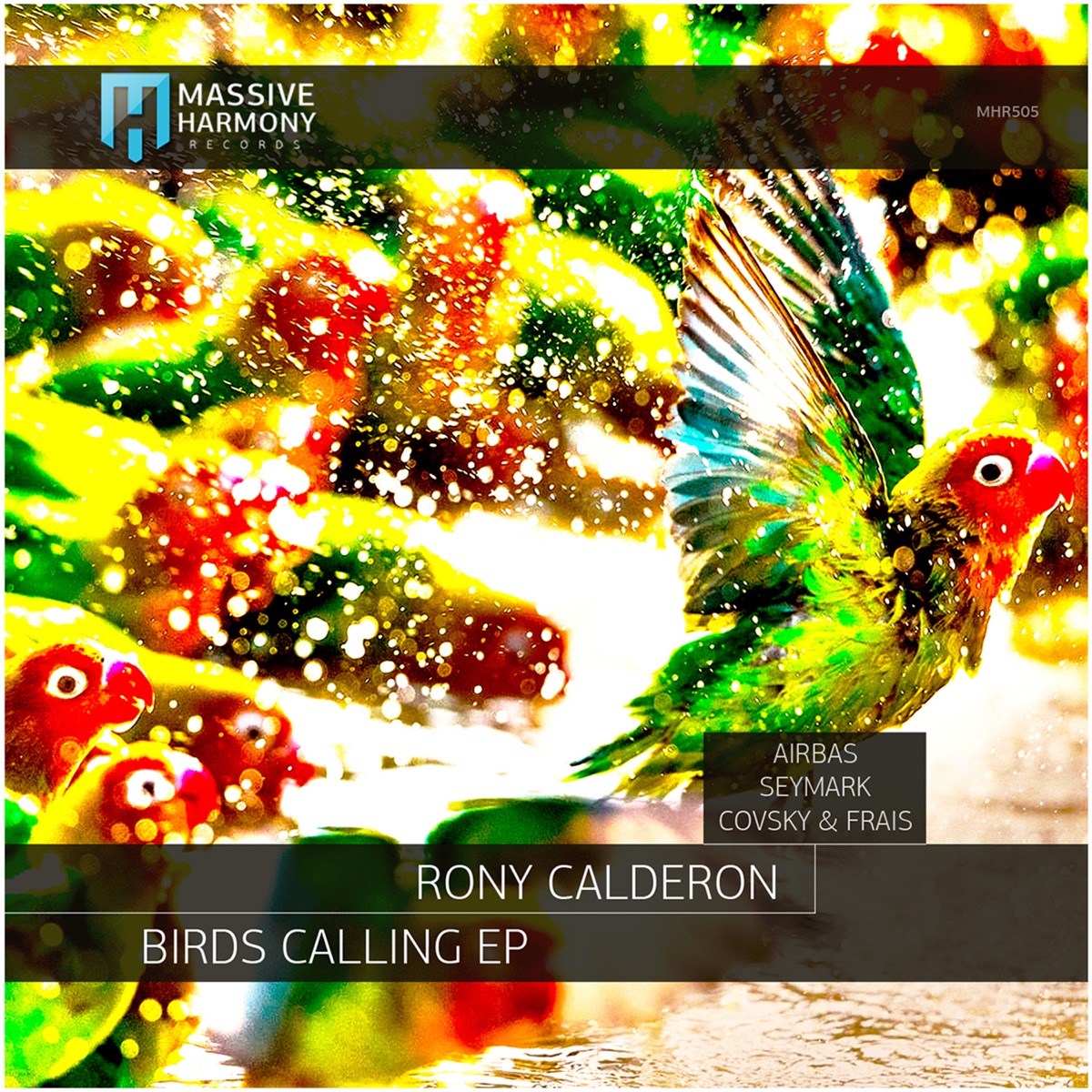 Birds Calling - EP by Rony Calderon, Covsky & FRAIS & Seymark album cover