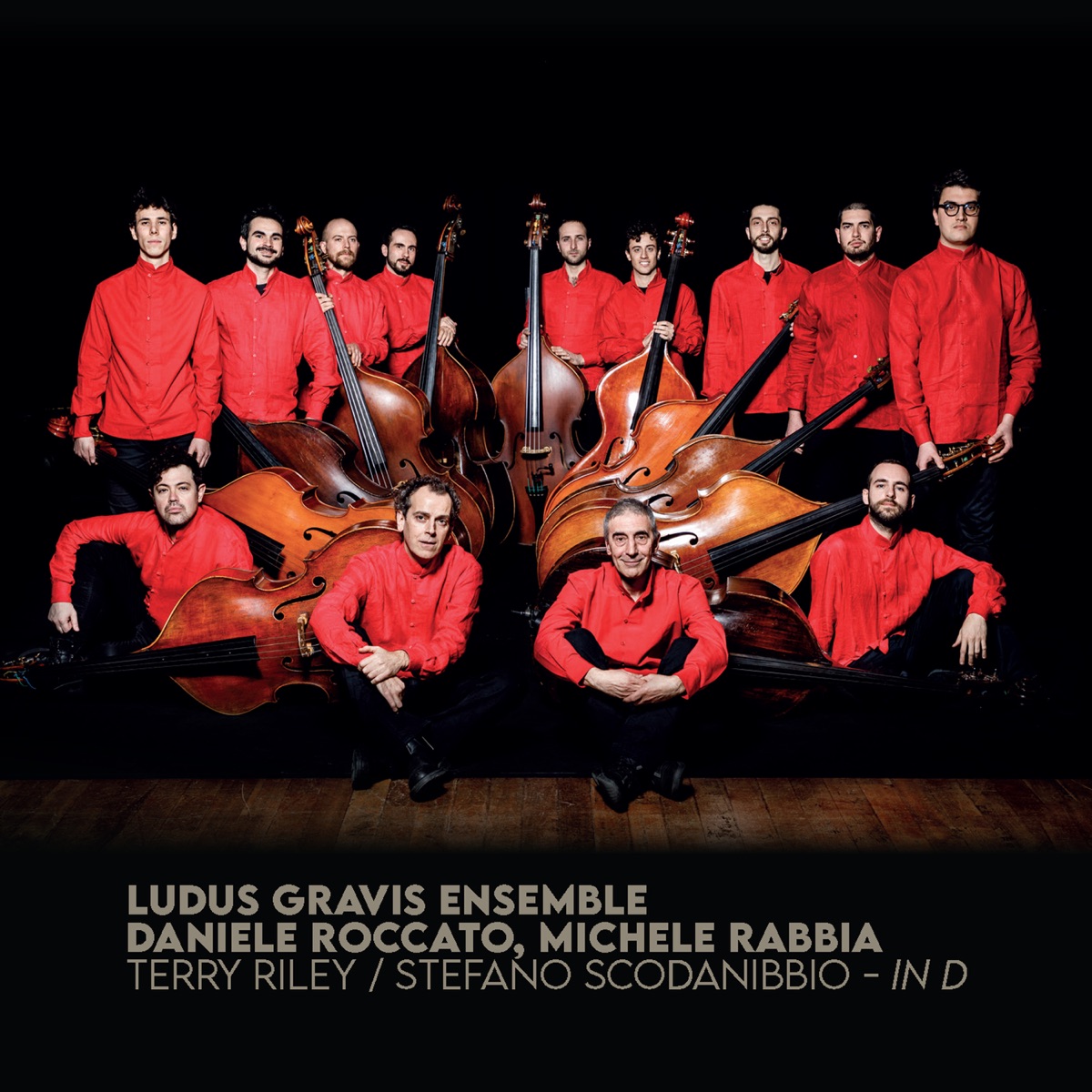 Terry Riley, Stefano Scodanibbio: In D by Ludus Gravis Ensemble, Daniele Roccato & Michele Rabbia album cover