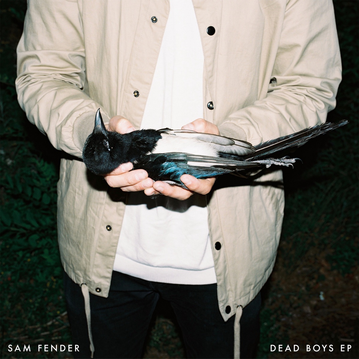 Dead Boys - EP by Sam Fender album cover