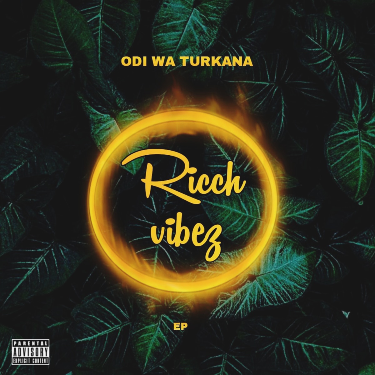 Ricch Vibez by Odi Wa Turkana album cover