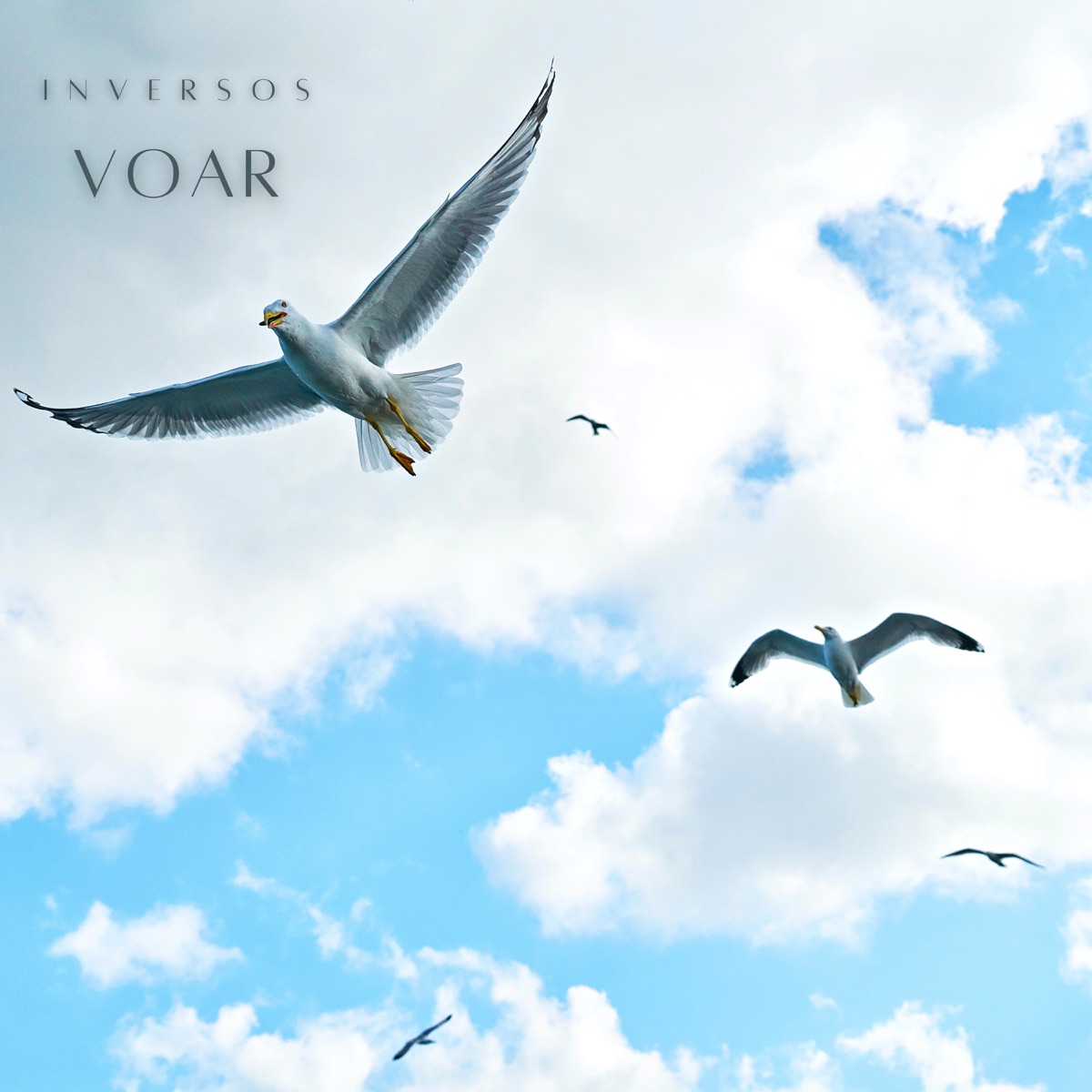 Voar - Single by InVersos album cover